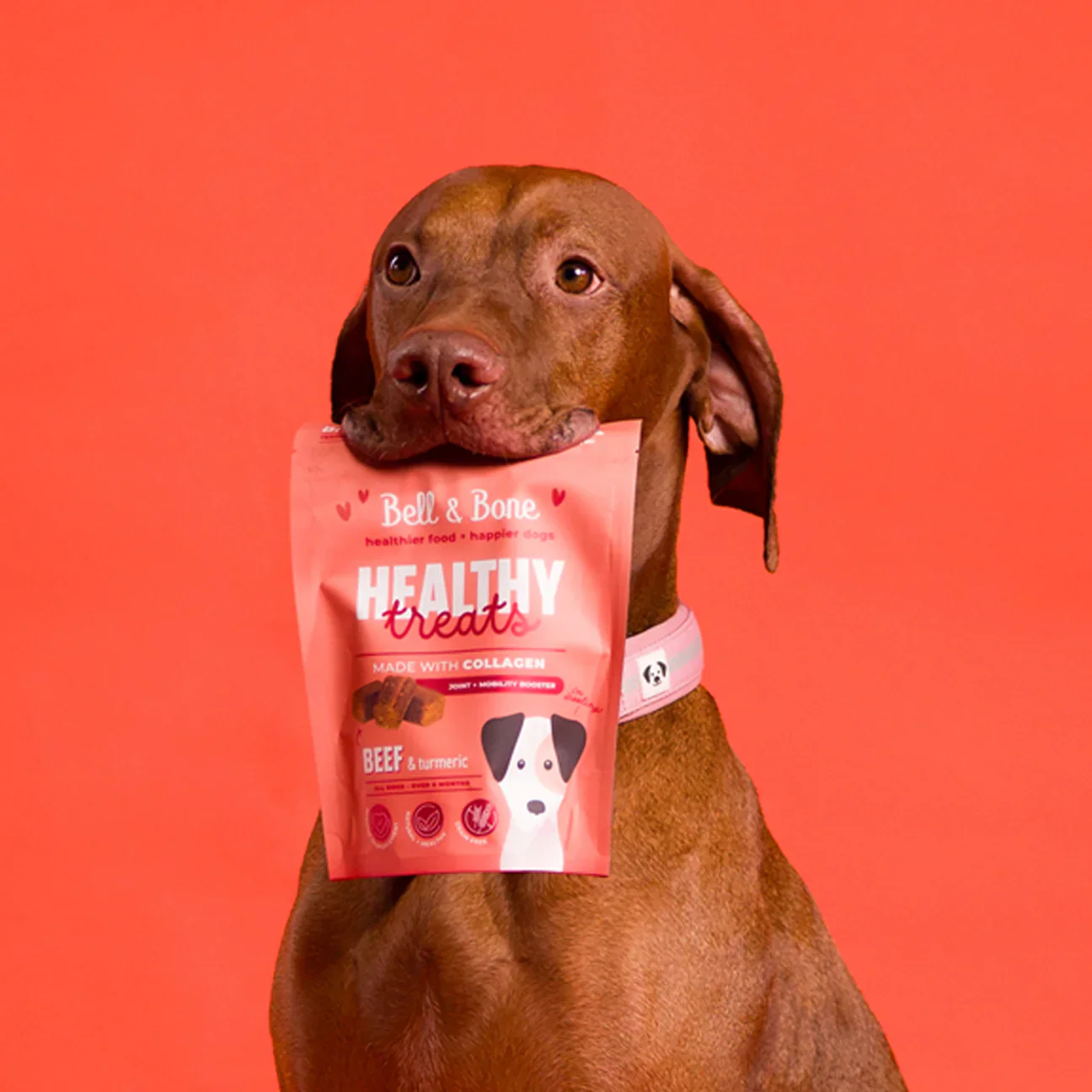 Healthy Treats: Beef & Turmeric for joint and mobility booster - Image 2