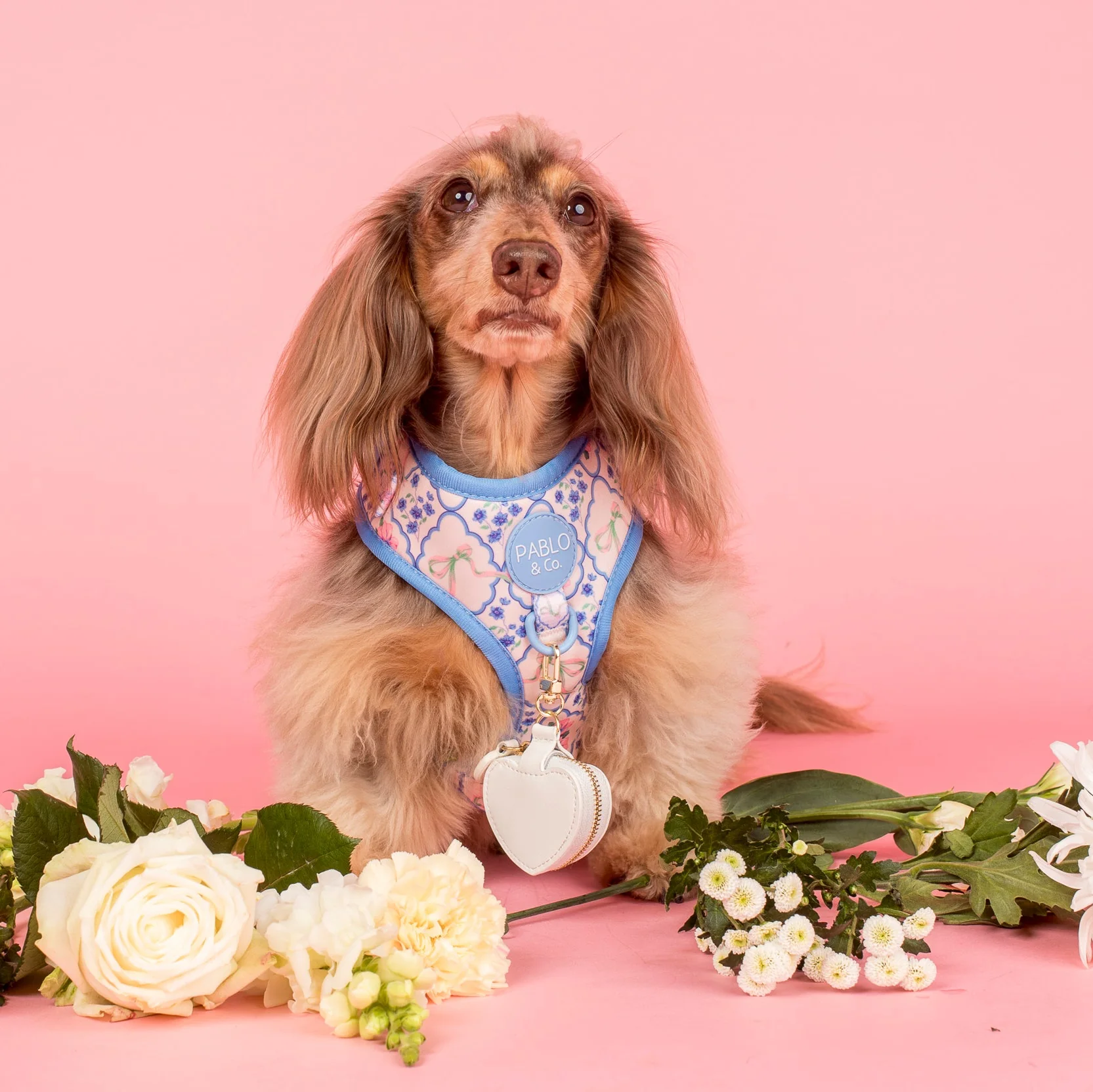 Heart Dog Ring Bearer Pouch - Image 3