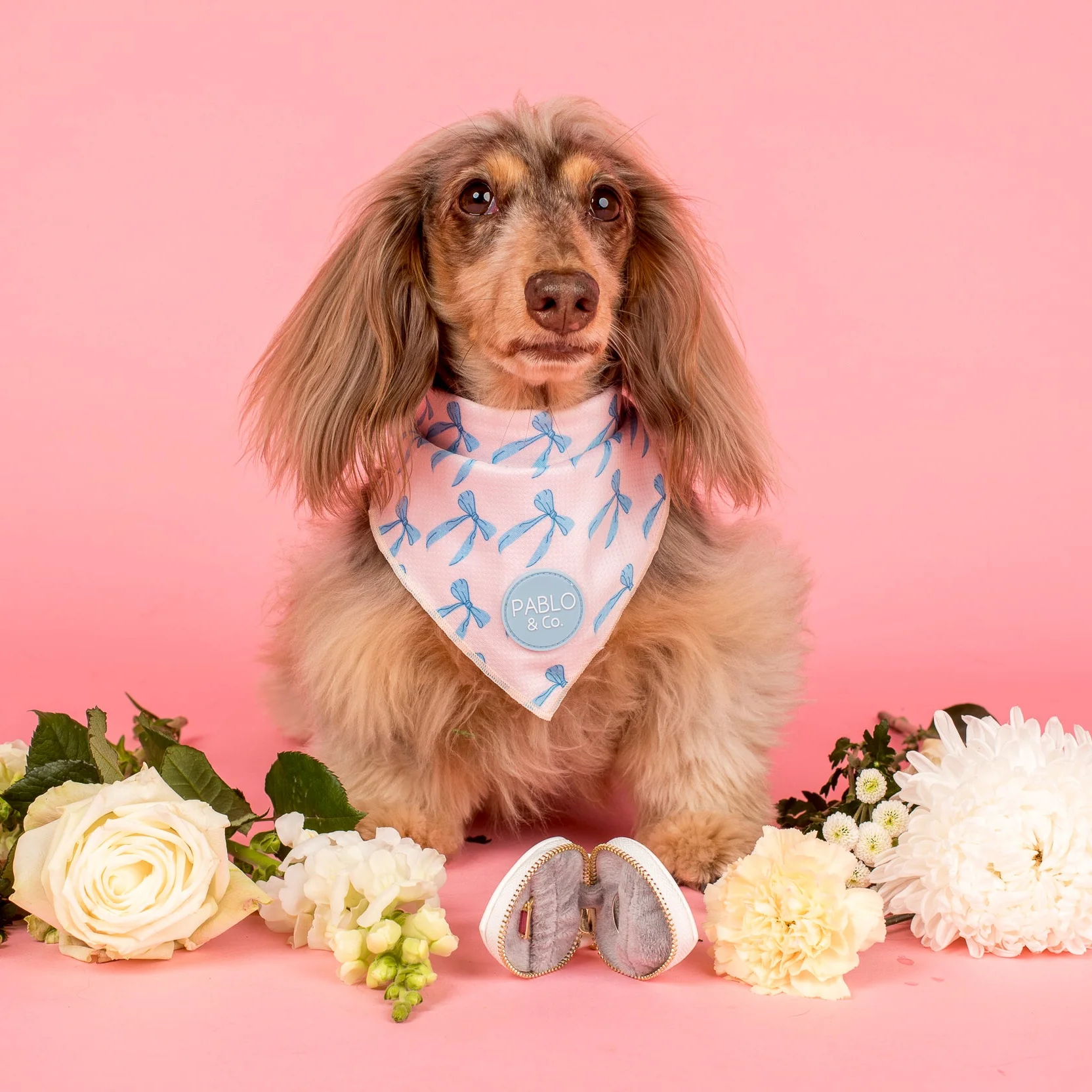 Heart Dog Ring Bearer Pouch - Image 4