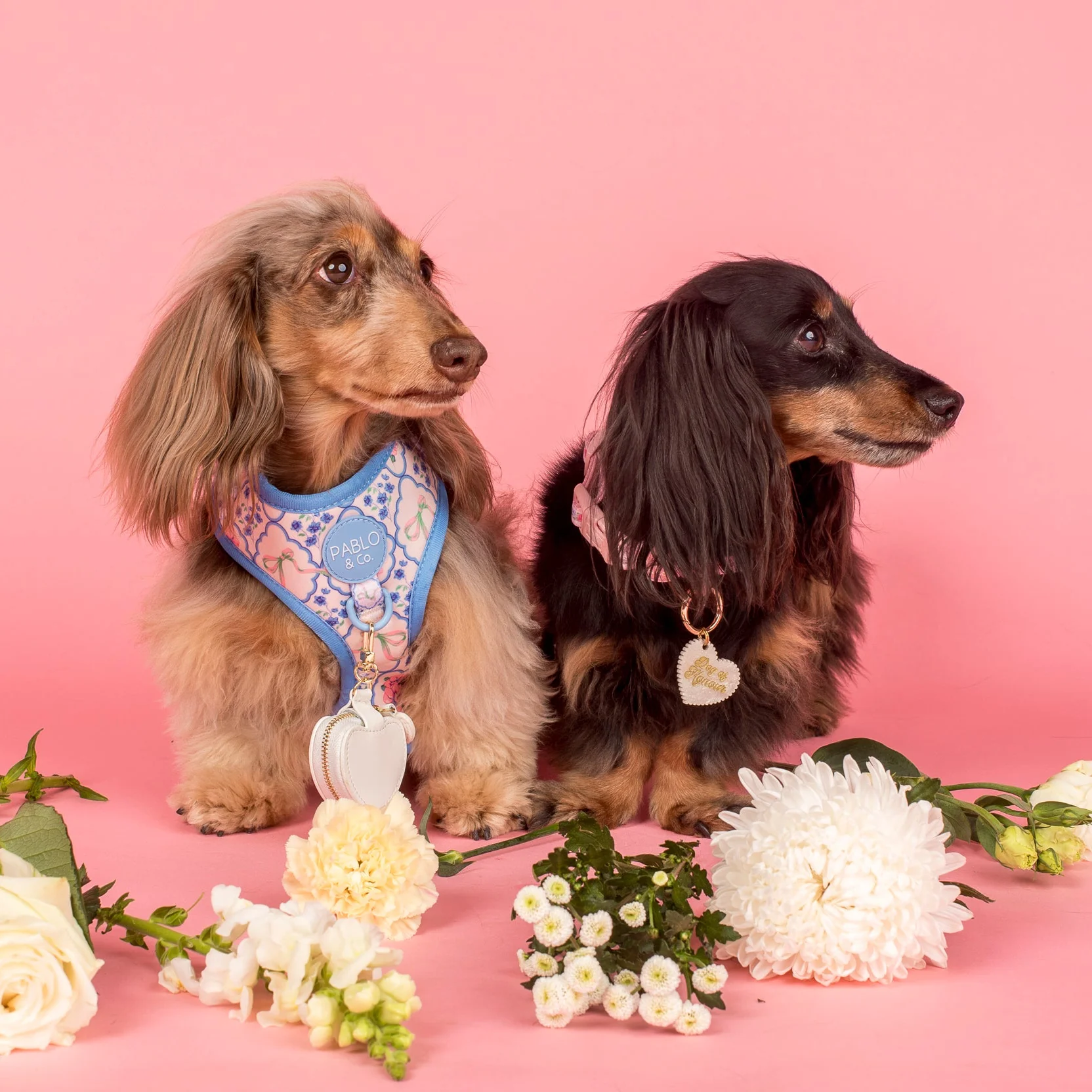 Heart Dog Ring Bearer Pouch - Image 6