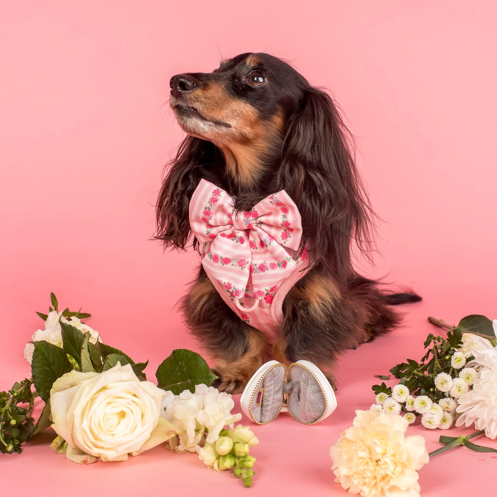 Heart Dog Ring Bearer Pouch - Image 7