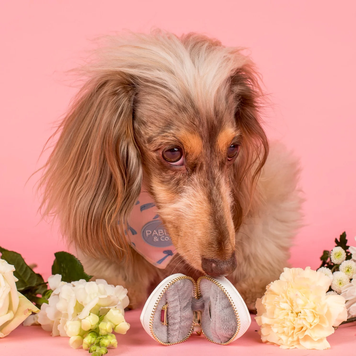 Heart Dog Ring Bearer Pouch - Image 9
