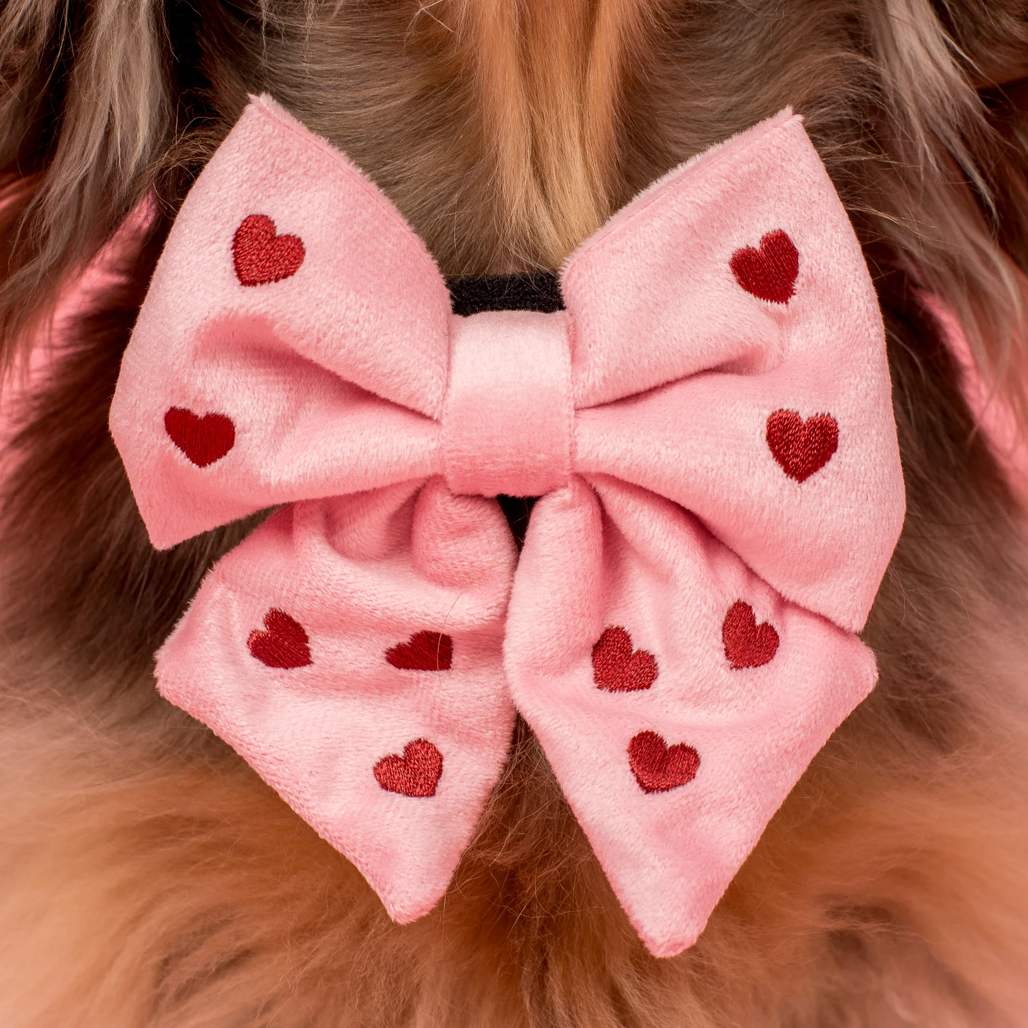 Heart: Velvet Sailor Bow - Pink & Maroon - Image 2