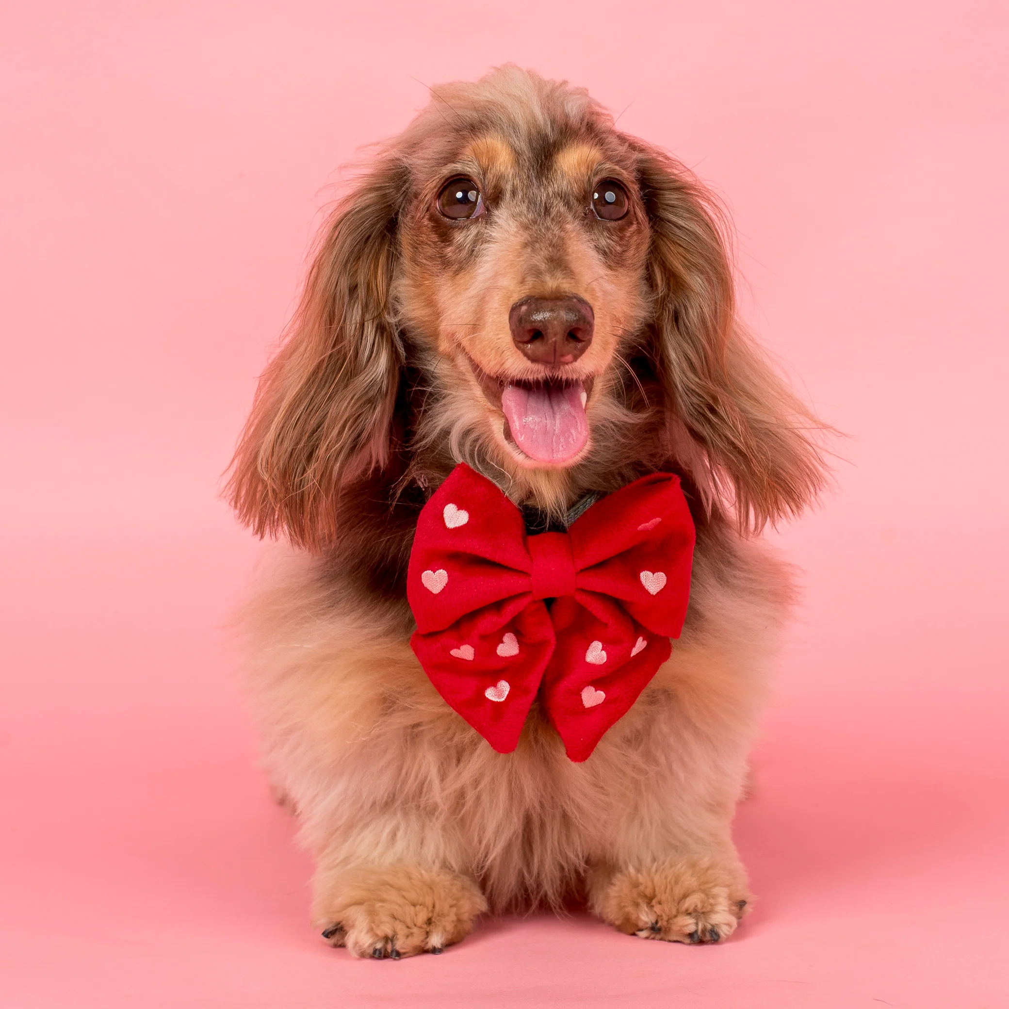 Heart: Velvet Sailor Bow - Red & Pink