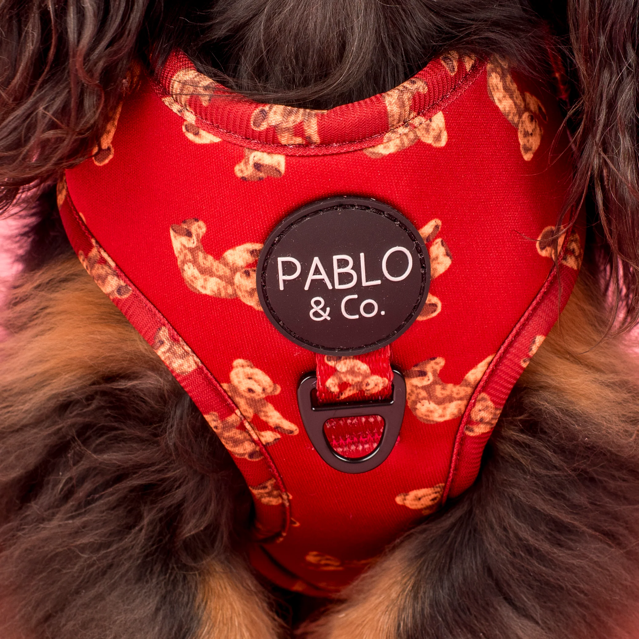 Henry Bear: Adjustable Harness - Image 3