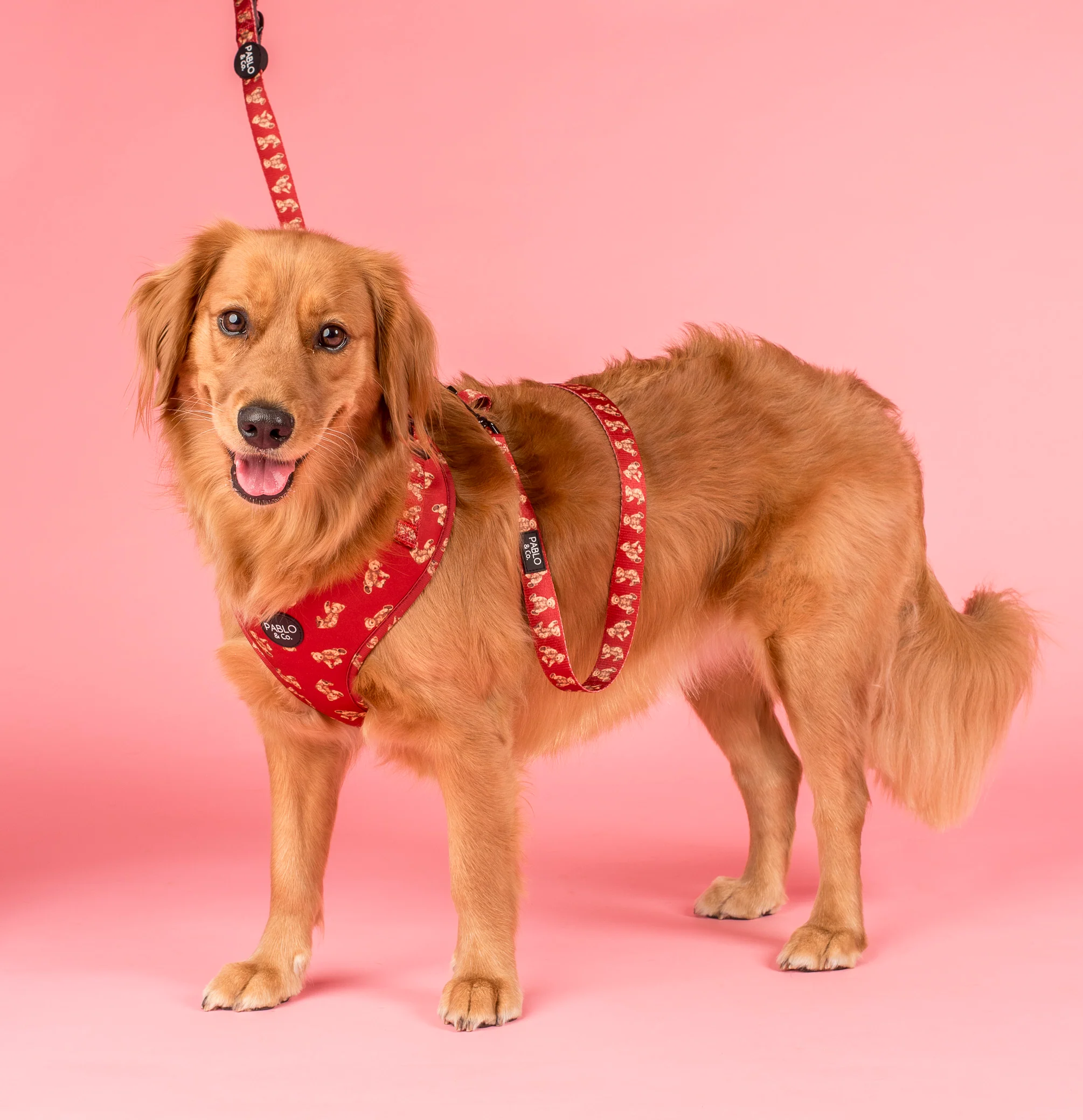 Henry Bear: Adjustable Harness - Image 5