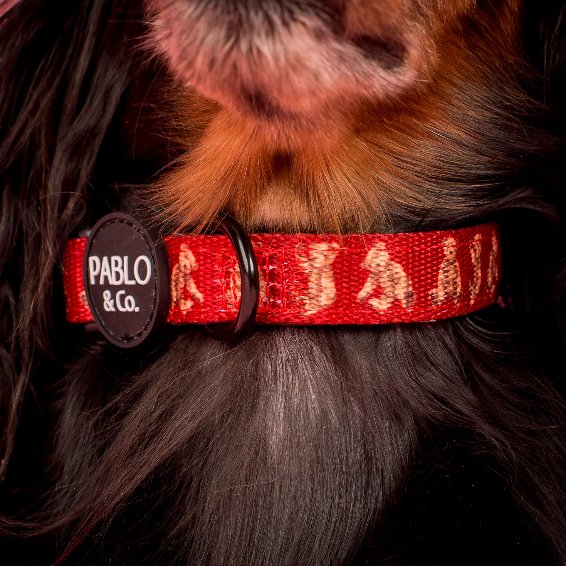 Henry Bear: Collar - Image 2