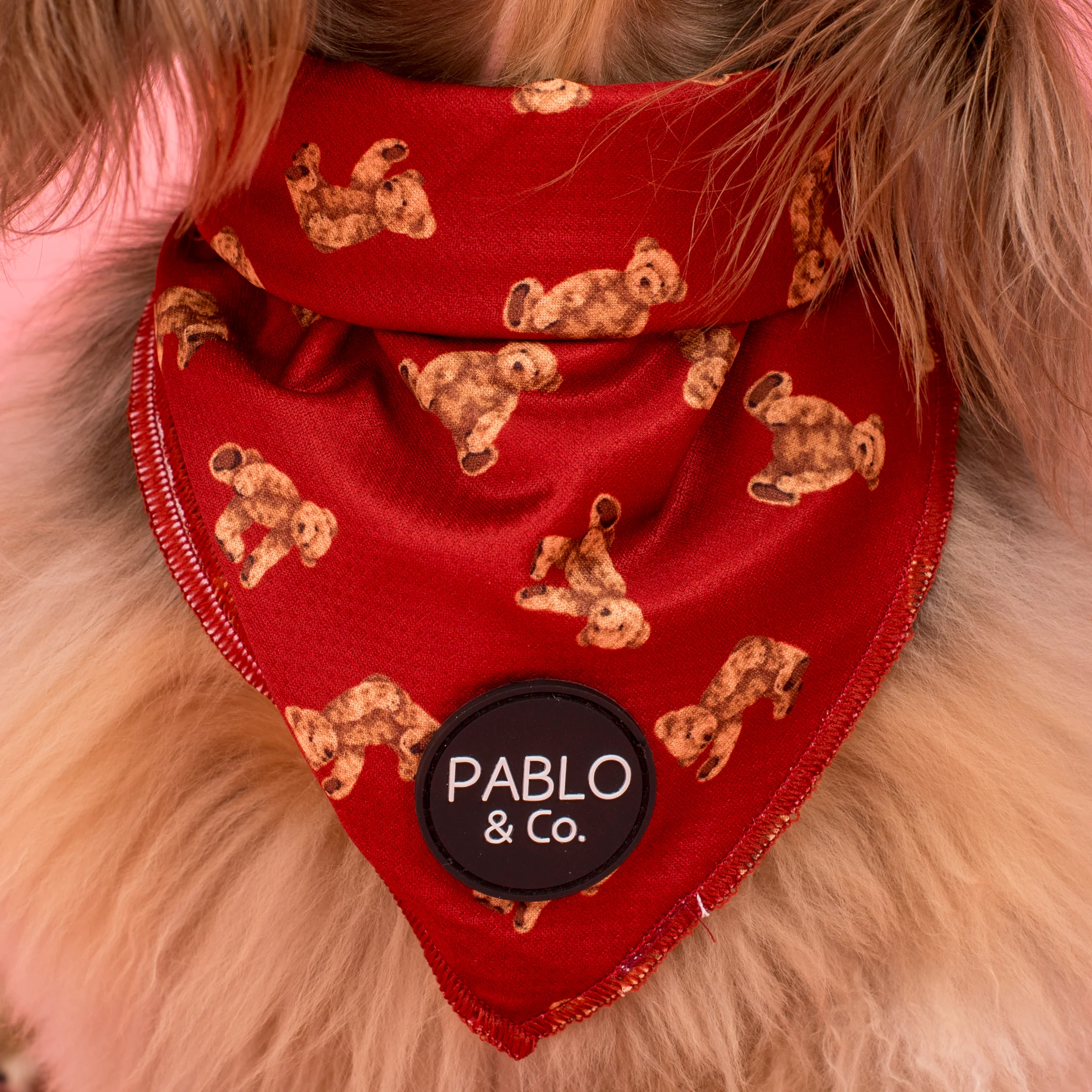 Henry Bear: Dog Bandana - Image 2