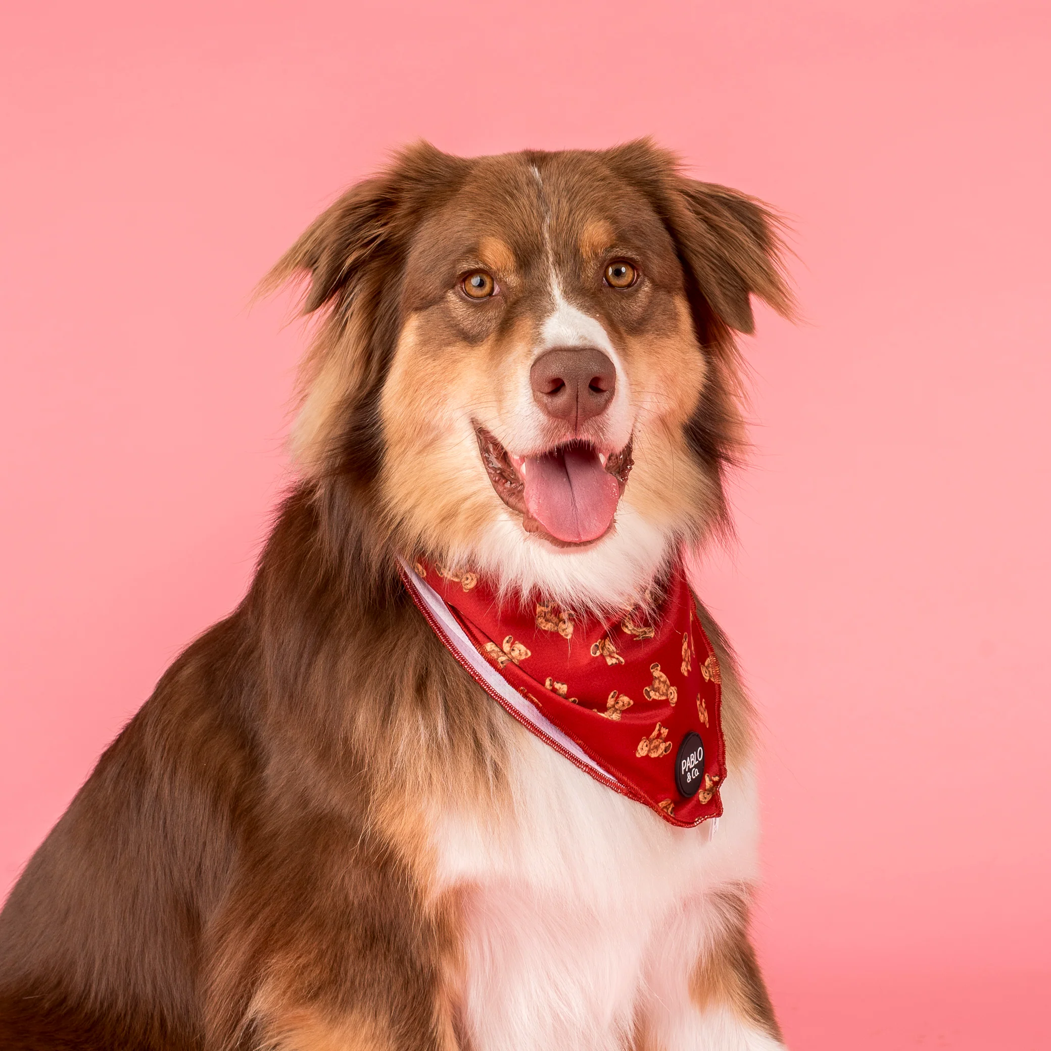 Henry Bear: Dog Bandana - Image 3