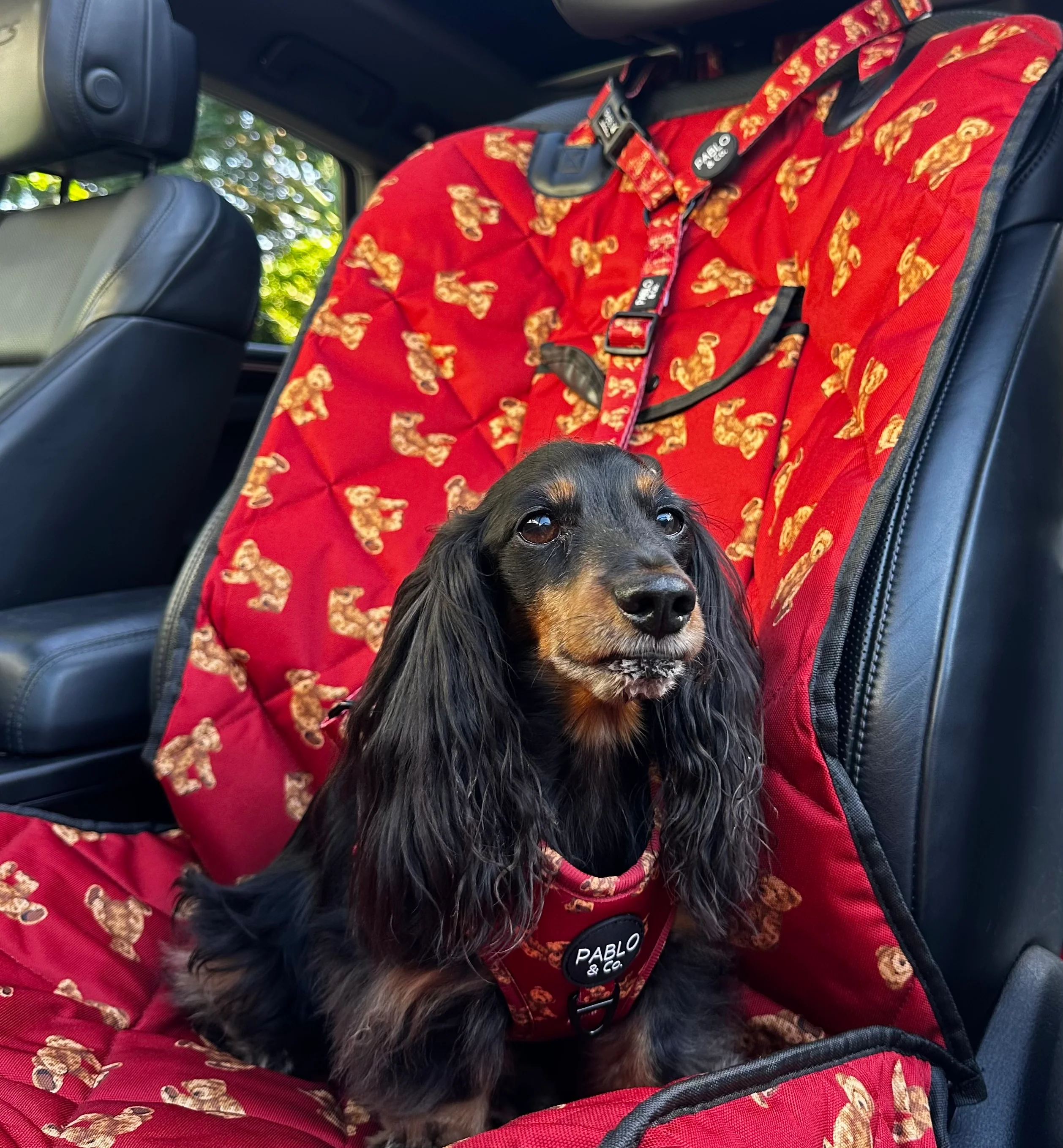 Henry Bear: Headrest Car Restraint - Image 4