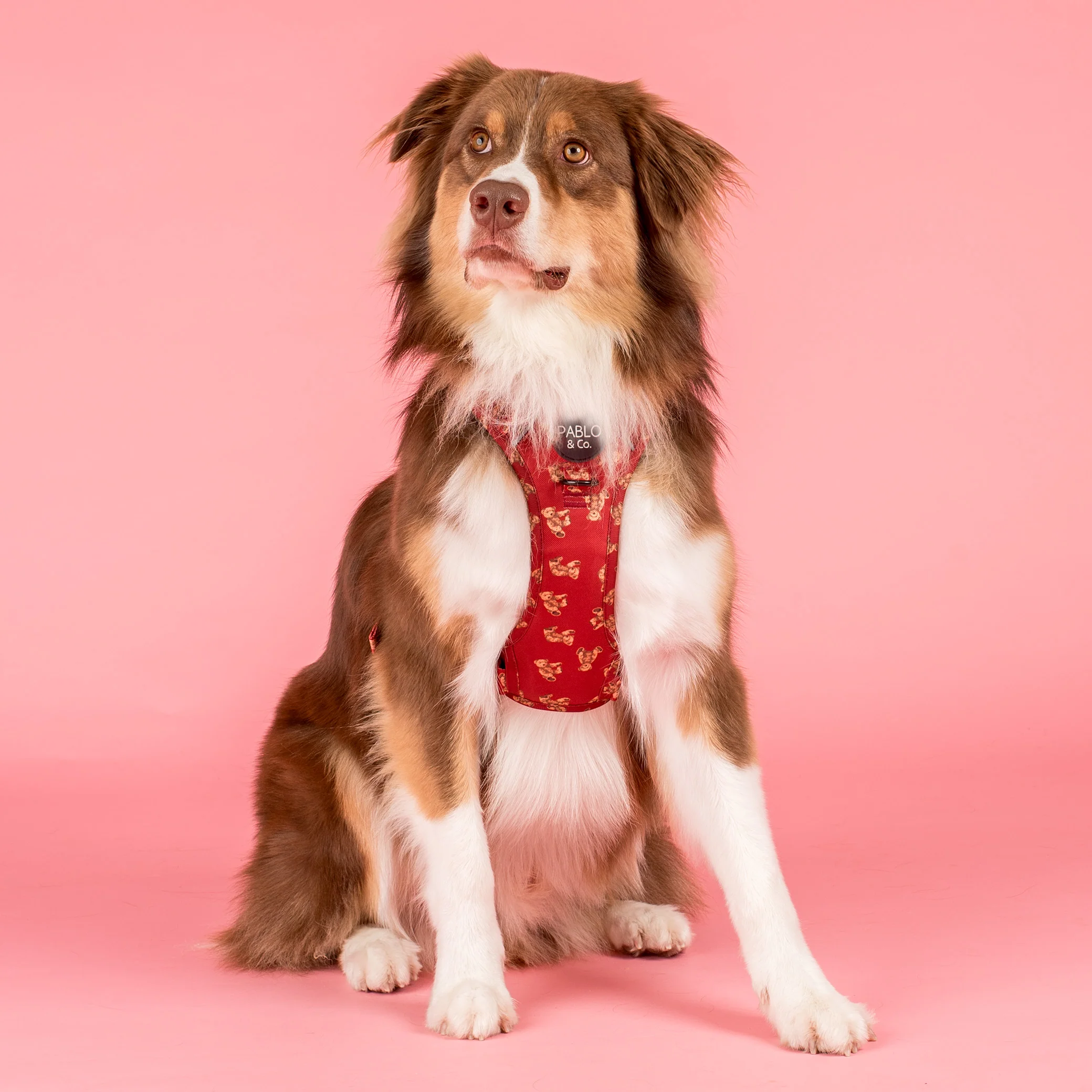Henry Bear: No Pull Adventure Harness - Image 2