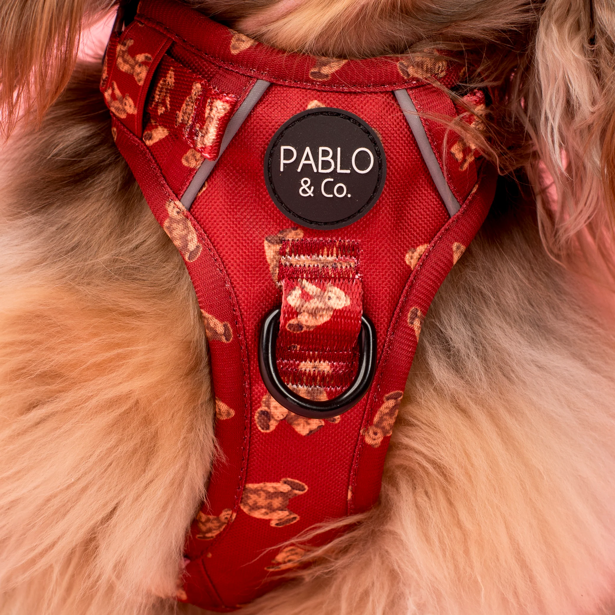 Henry Bear: No Pull Adventure Harness - Image 3