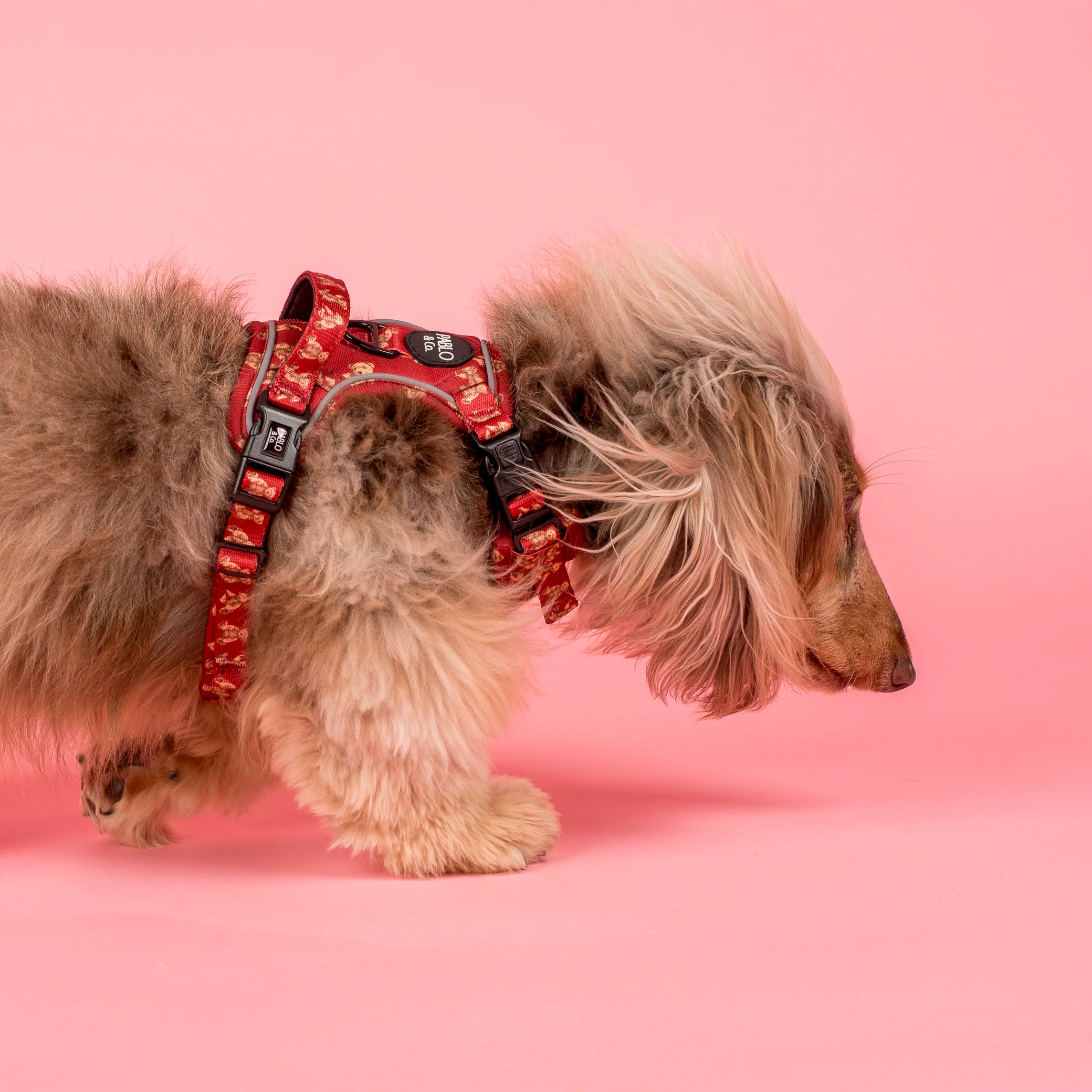 Henry Bear: No Pull Adventure Harness - Image 8
