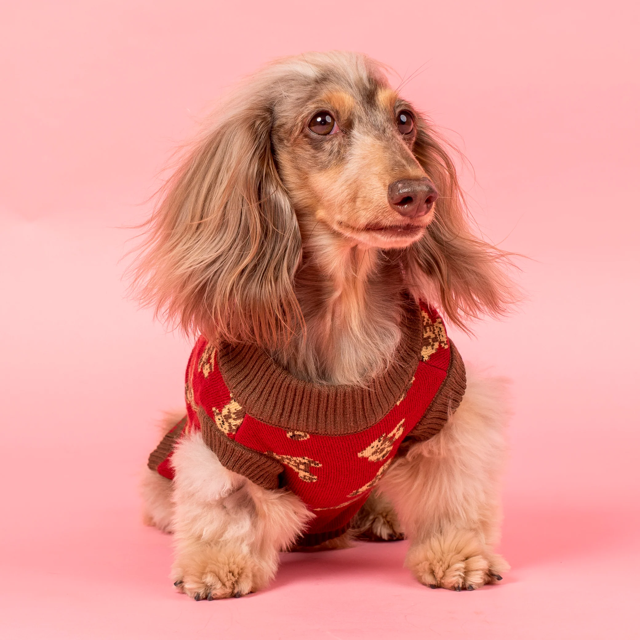 Henry Bear Sweater - Image 10