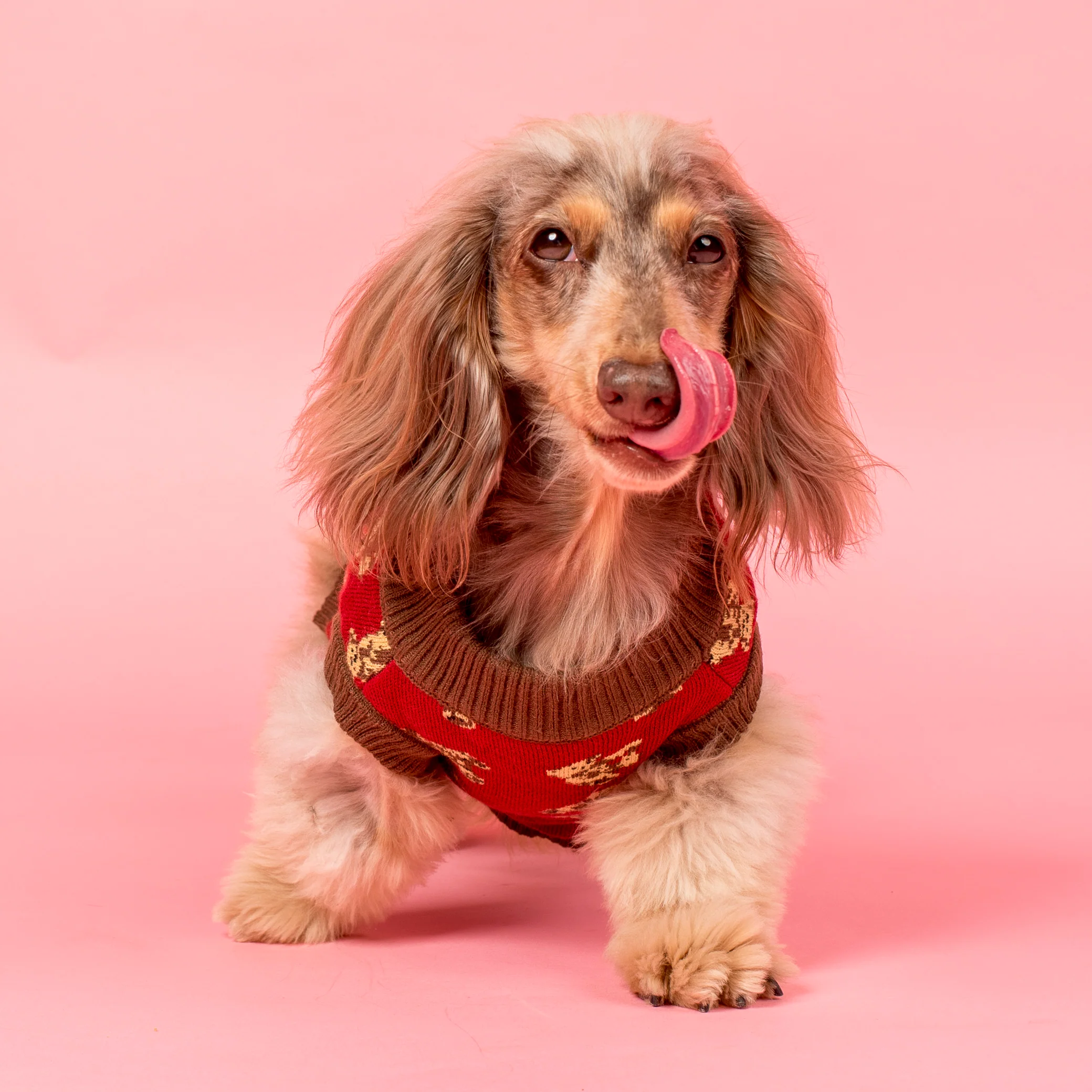 Henry Bear Sweater - Image 11