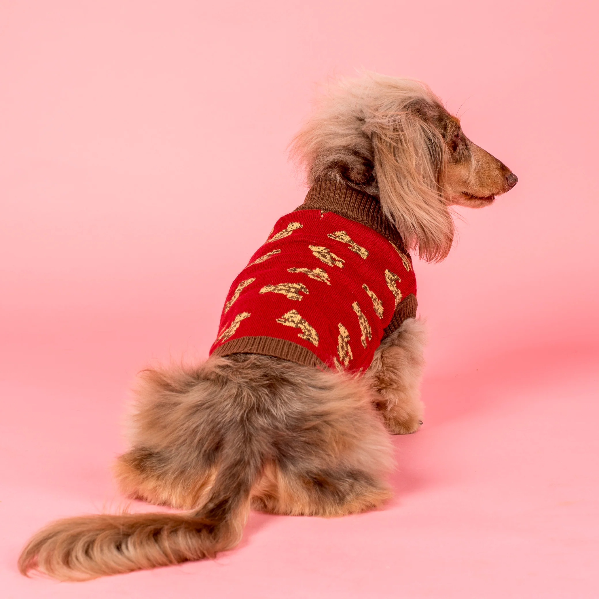 Henry Bear Sweater - Image 13