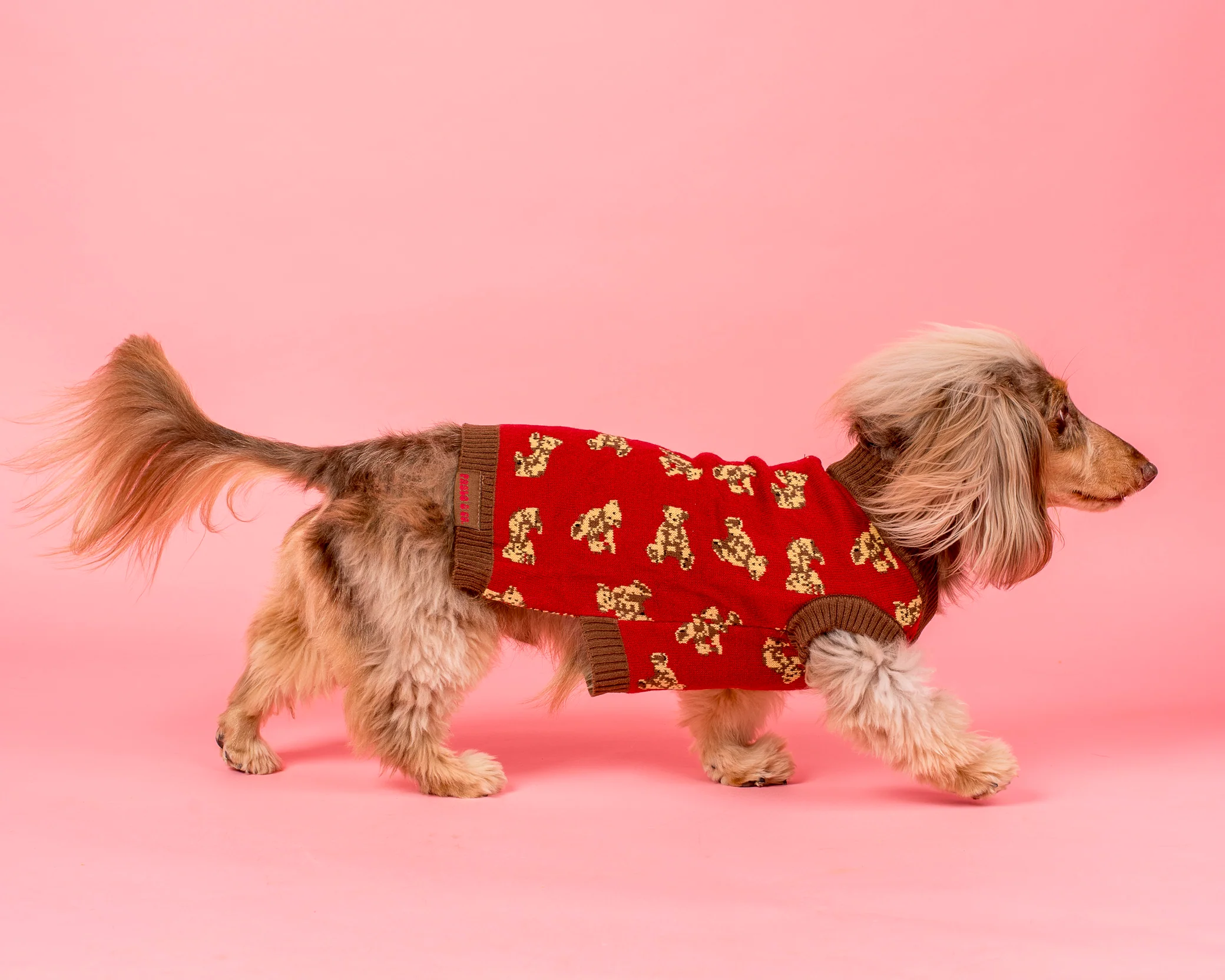 Henry Bear Sweater - Image 2