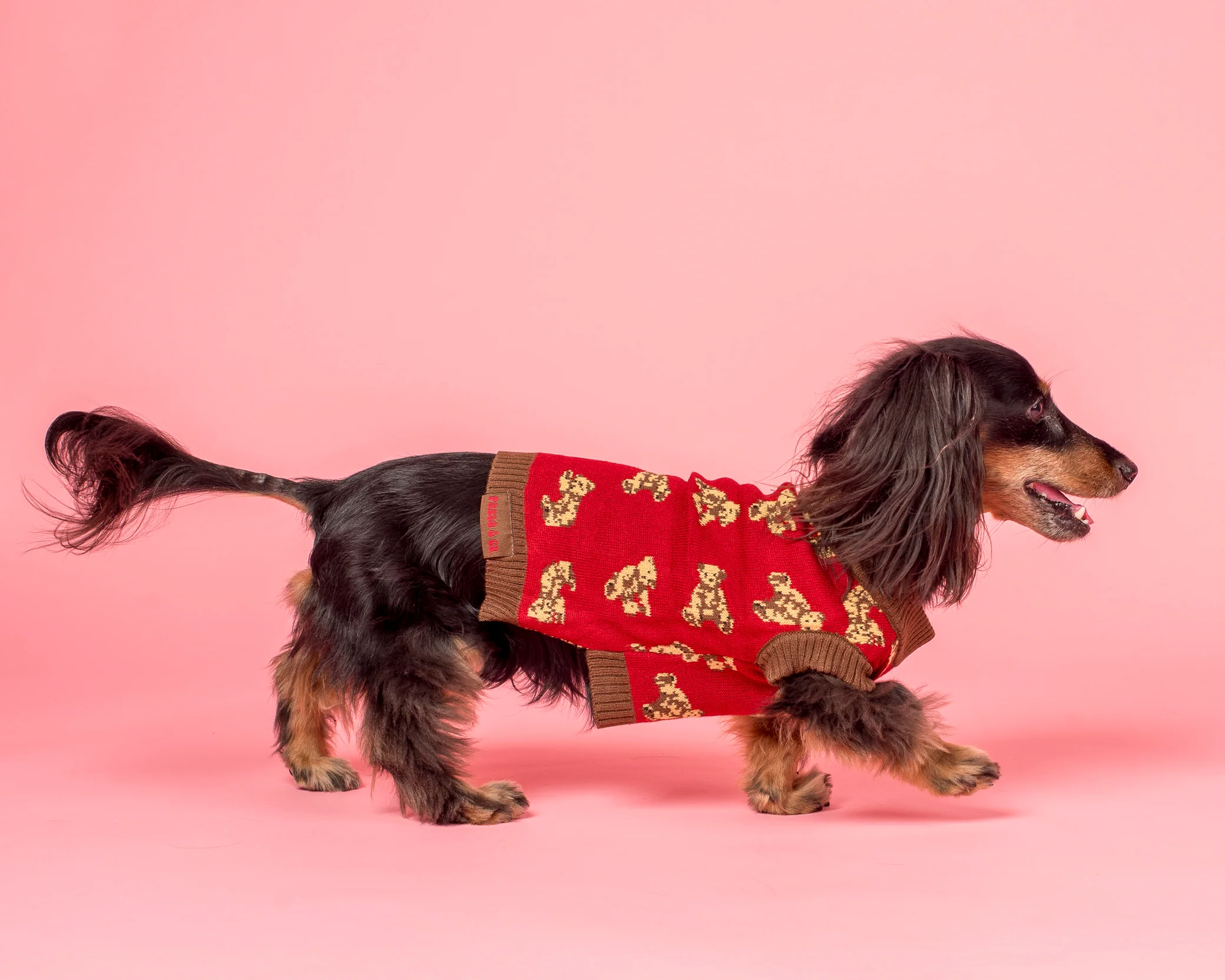 Henry Bear Sweater - Image 4