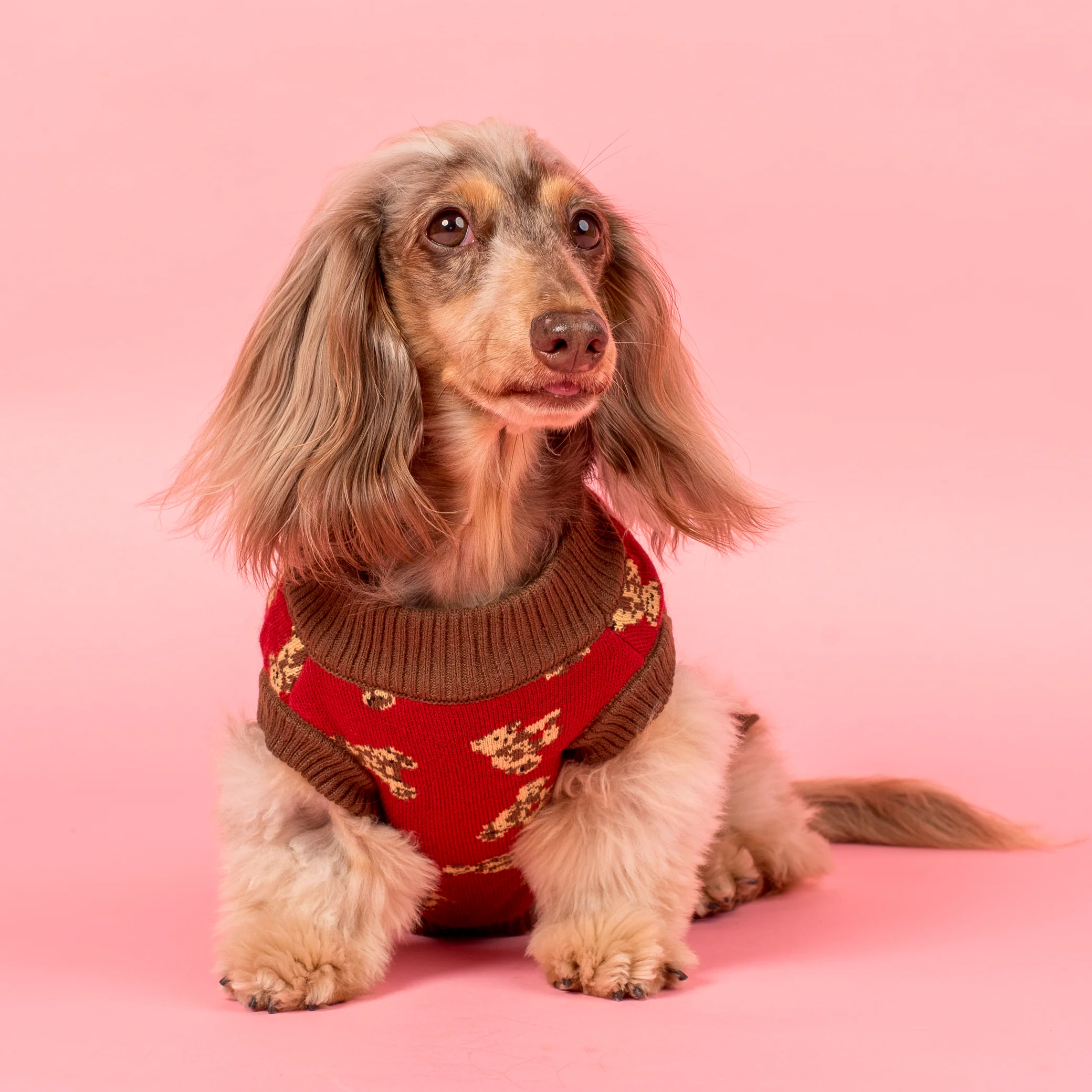 Henry Bear Sweater - Image 6