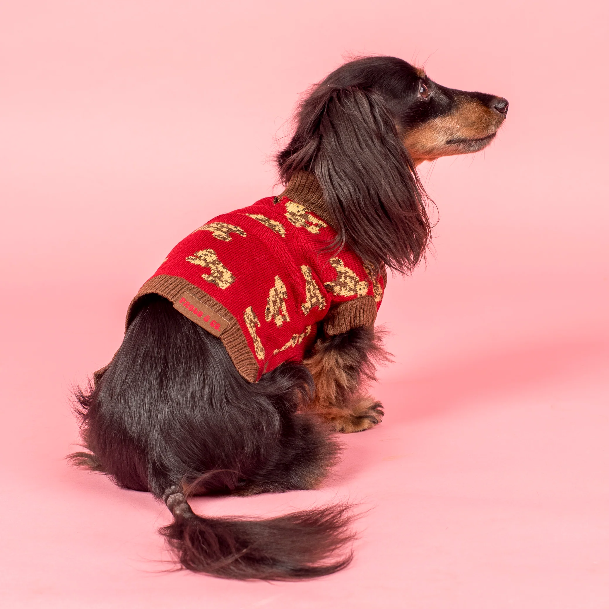 Henry Bear Sweater - Image 7