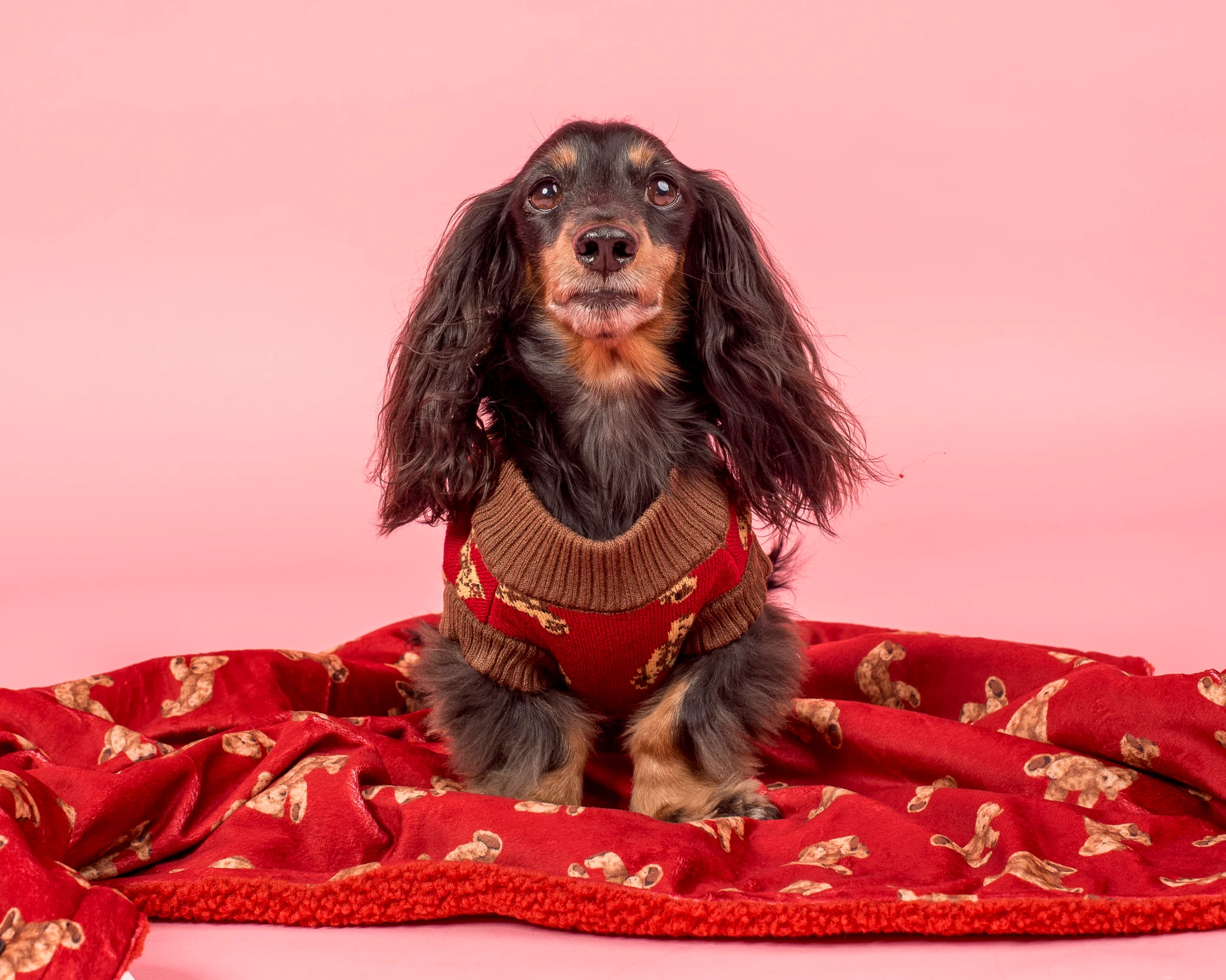 Henry Bear Sweater - Image 8