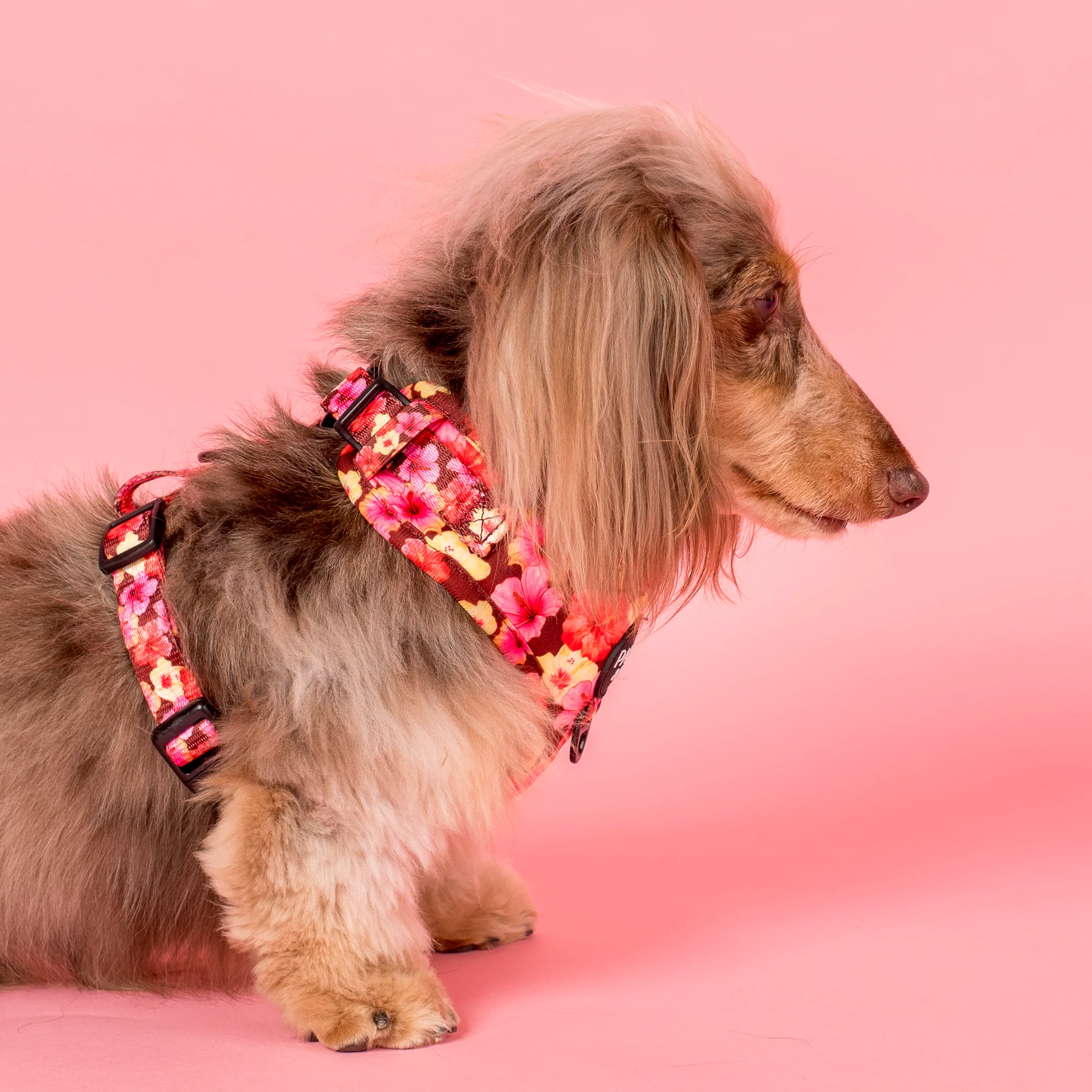 Hibiscus: Adjustable Harness - Image 3