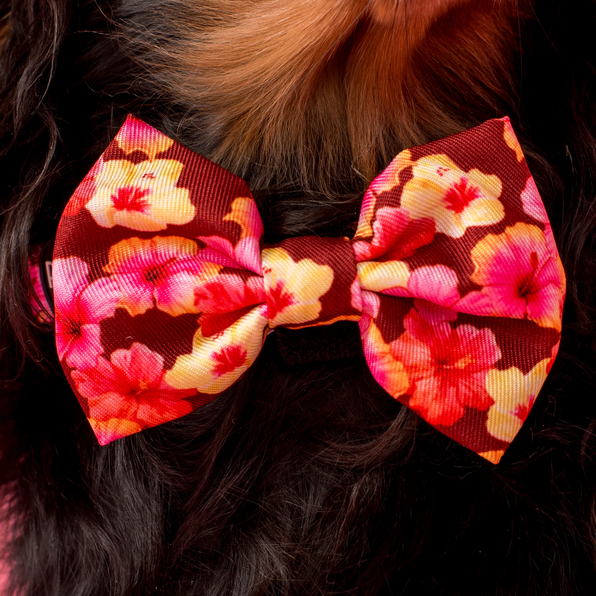 Hibiscus: Bow Tie - Image 2