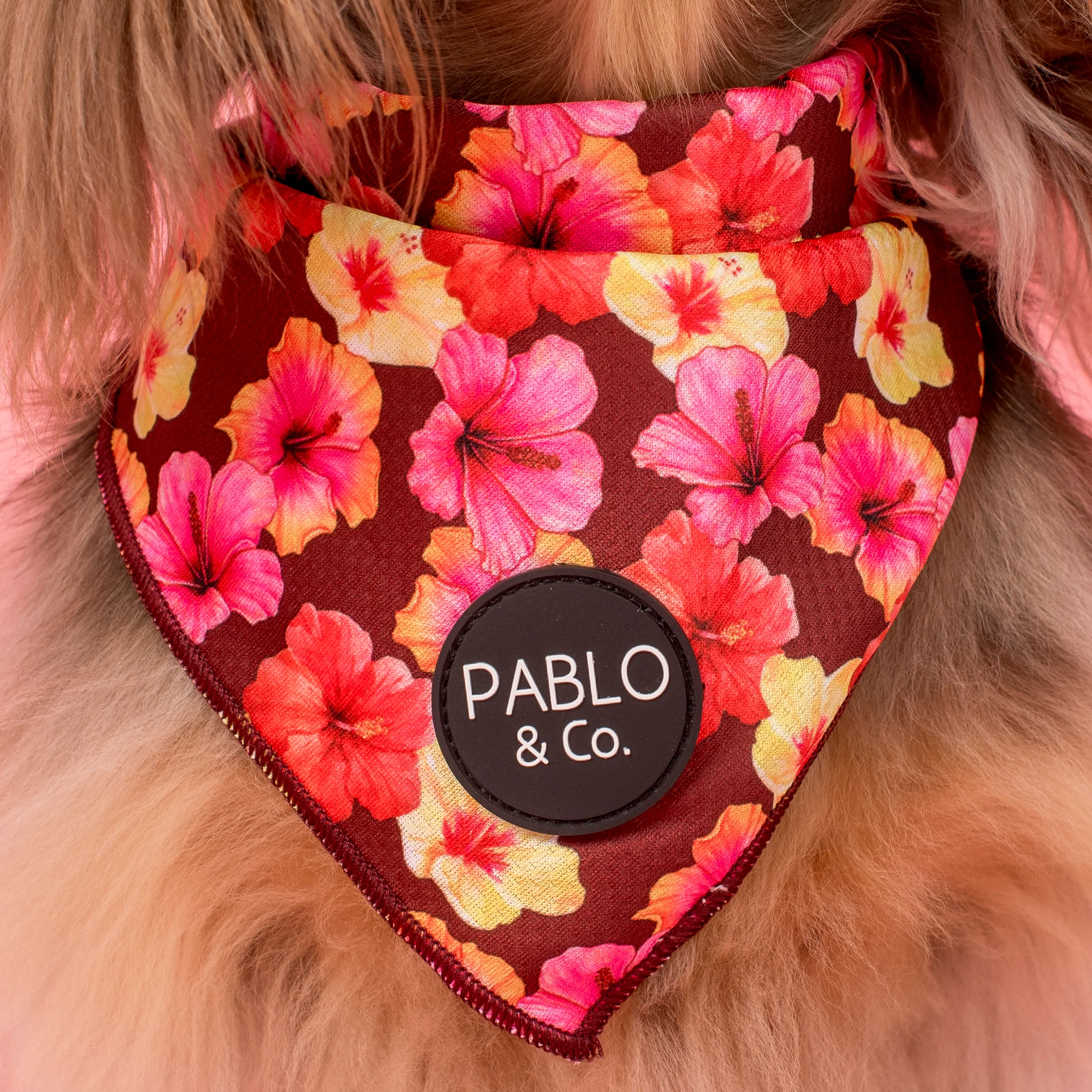 Hibiscus: Dog Bandana - Image 2