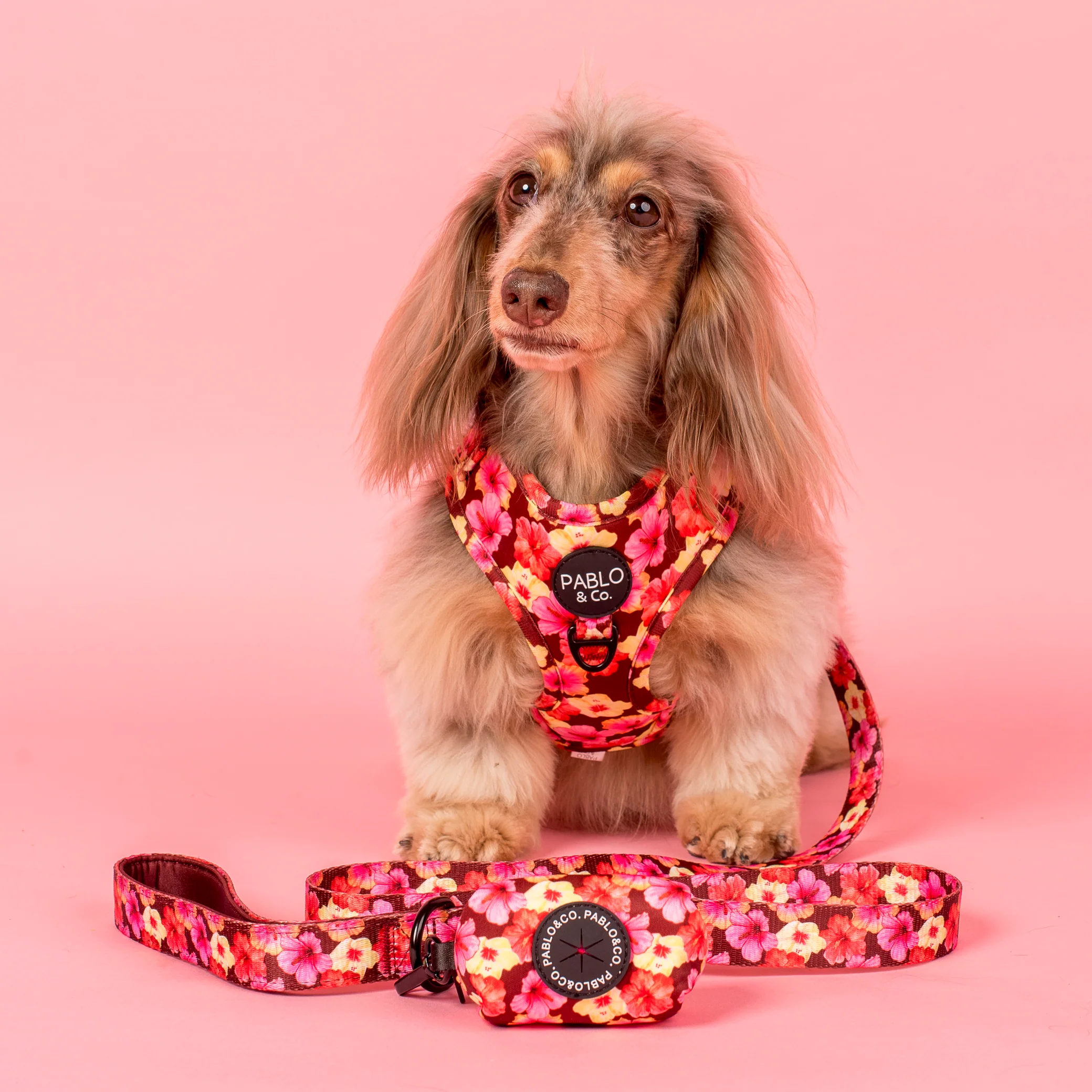 Hibiscus: Dog Leash - Image 2