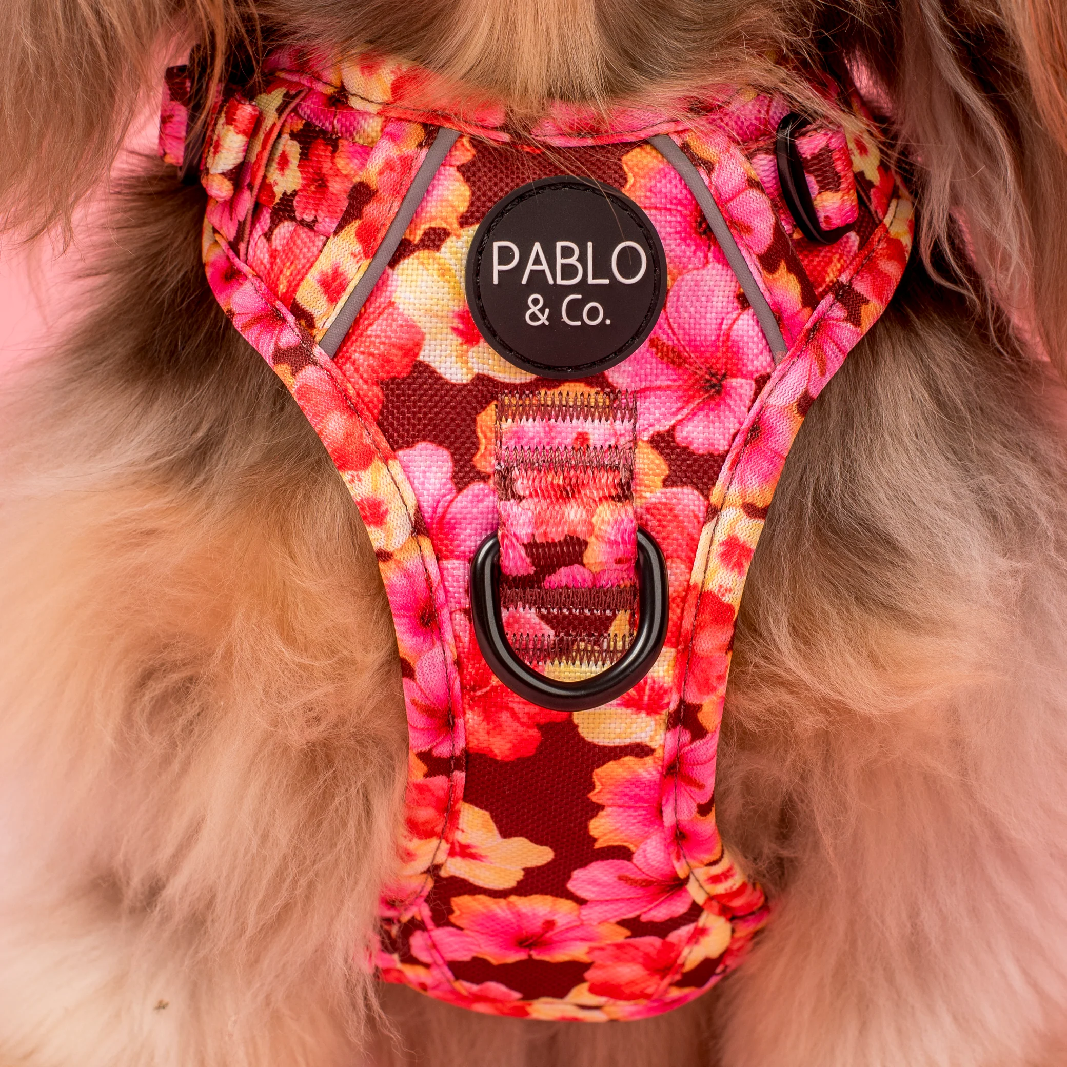 Hibiscus: No Pull Adventure Harness - Image 2