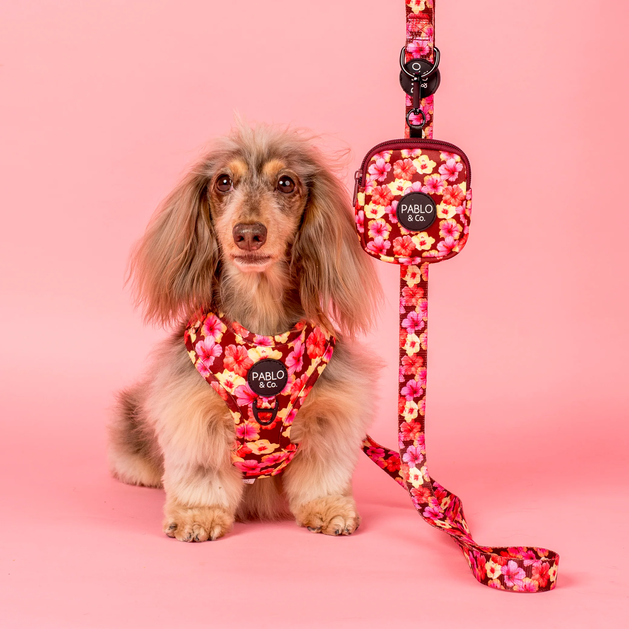 Hibiscus: Treat Pouch - Image 2