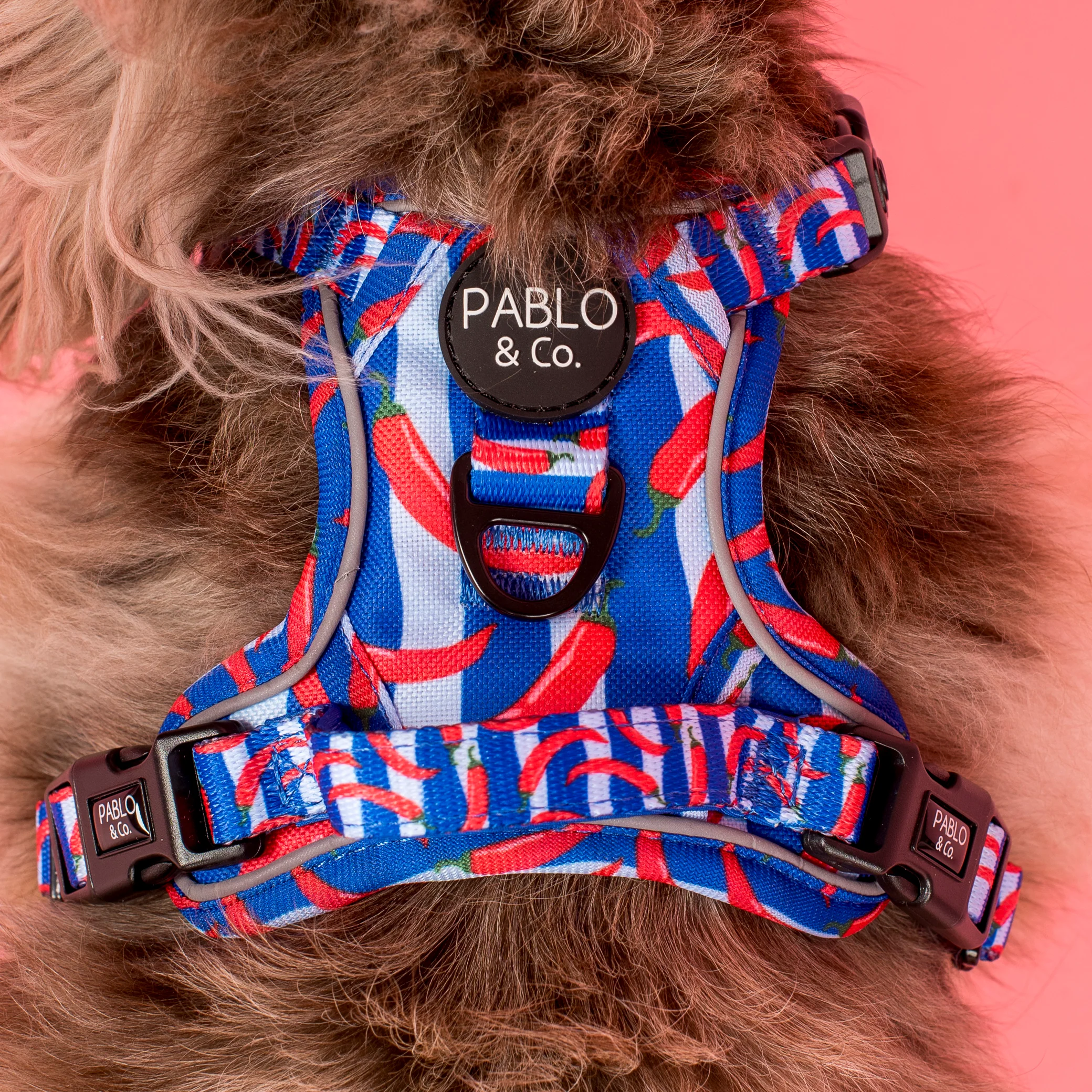 Hot Chillies: No Pull Adventure Harness - Image 5