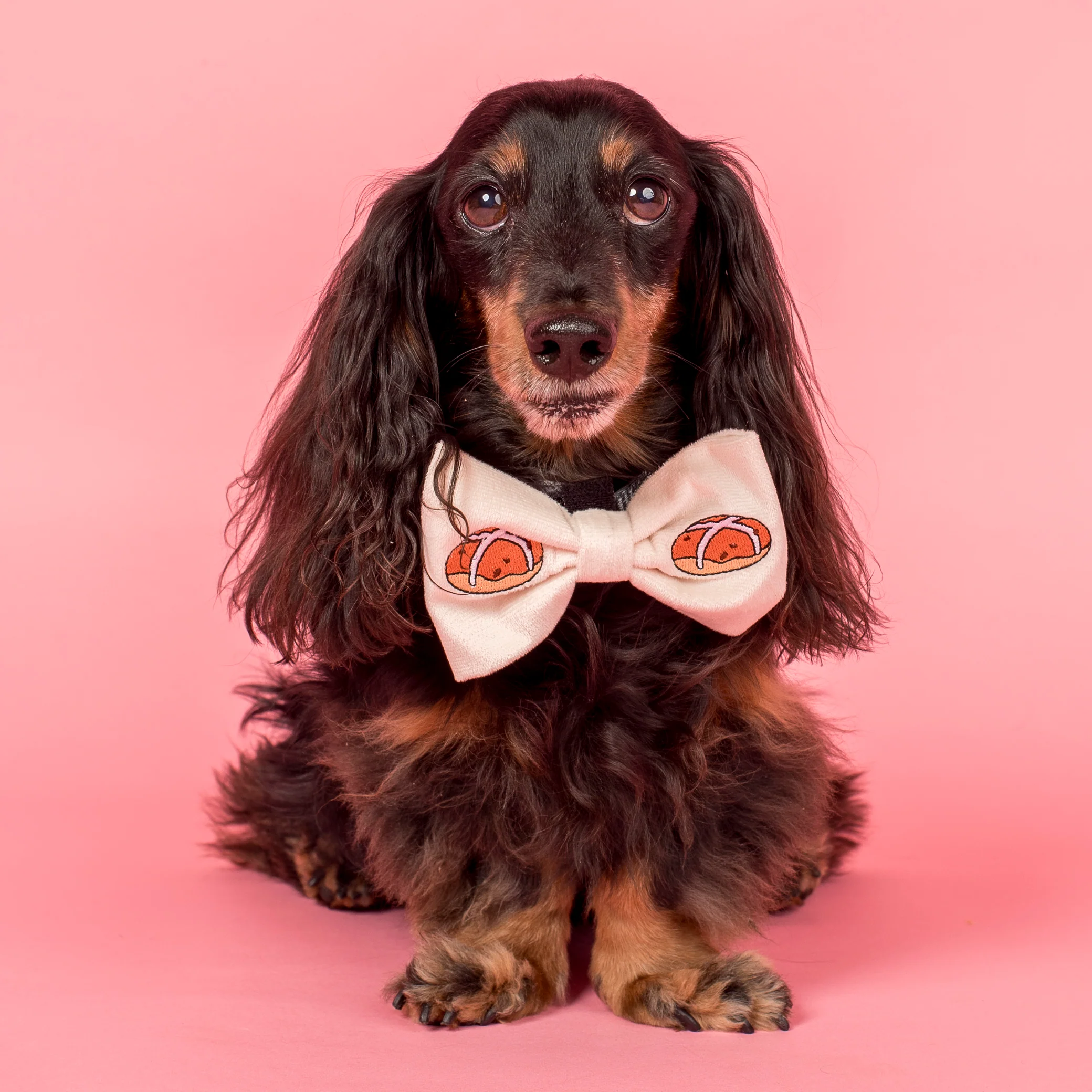 Hot Cross Buns: Velvet Bow Tie - Image 2