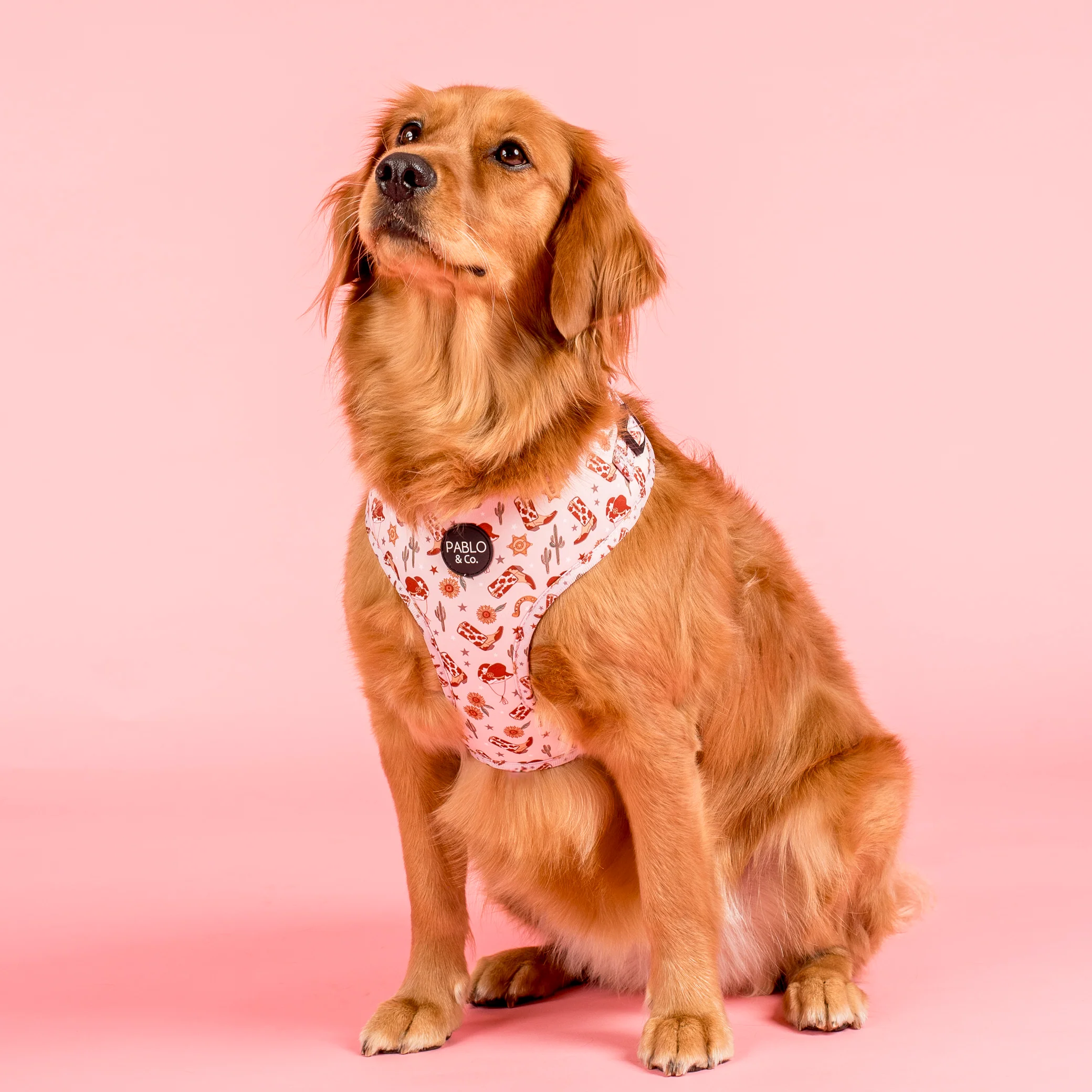 Howdy: Adjustable Harness