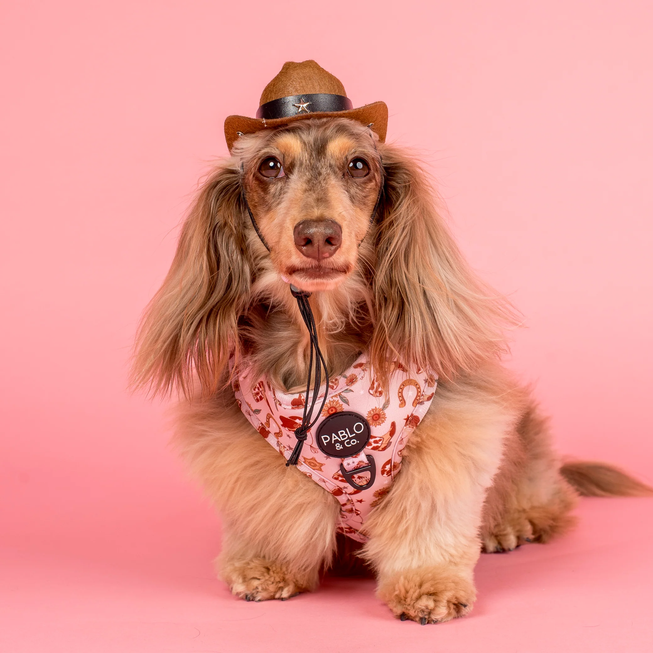 Howdy: Adjustable Harness - Image 2