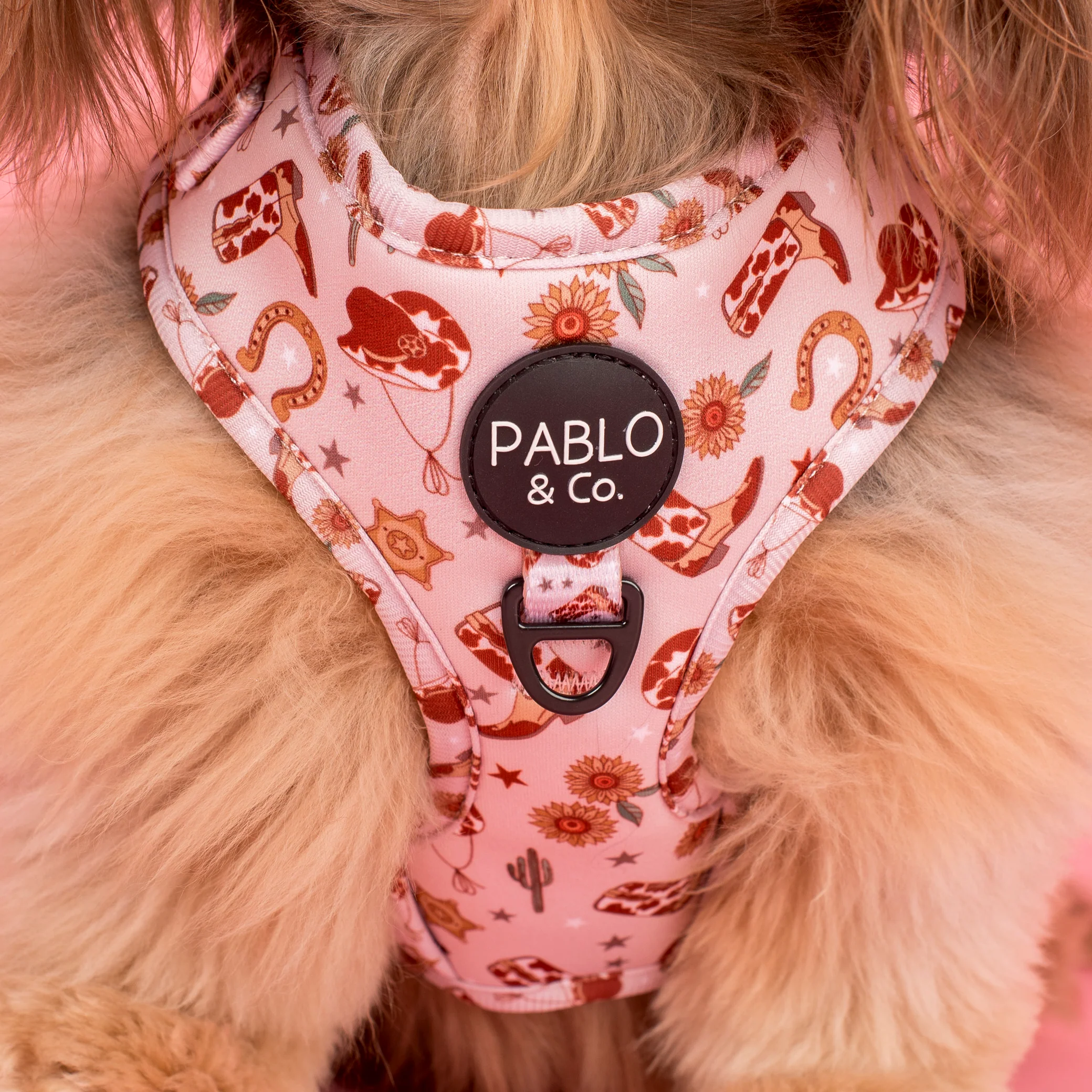 Howdy: Adjustable Harness - Image 3