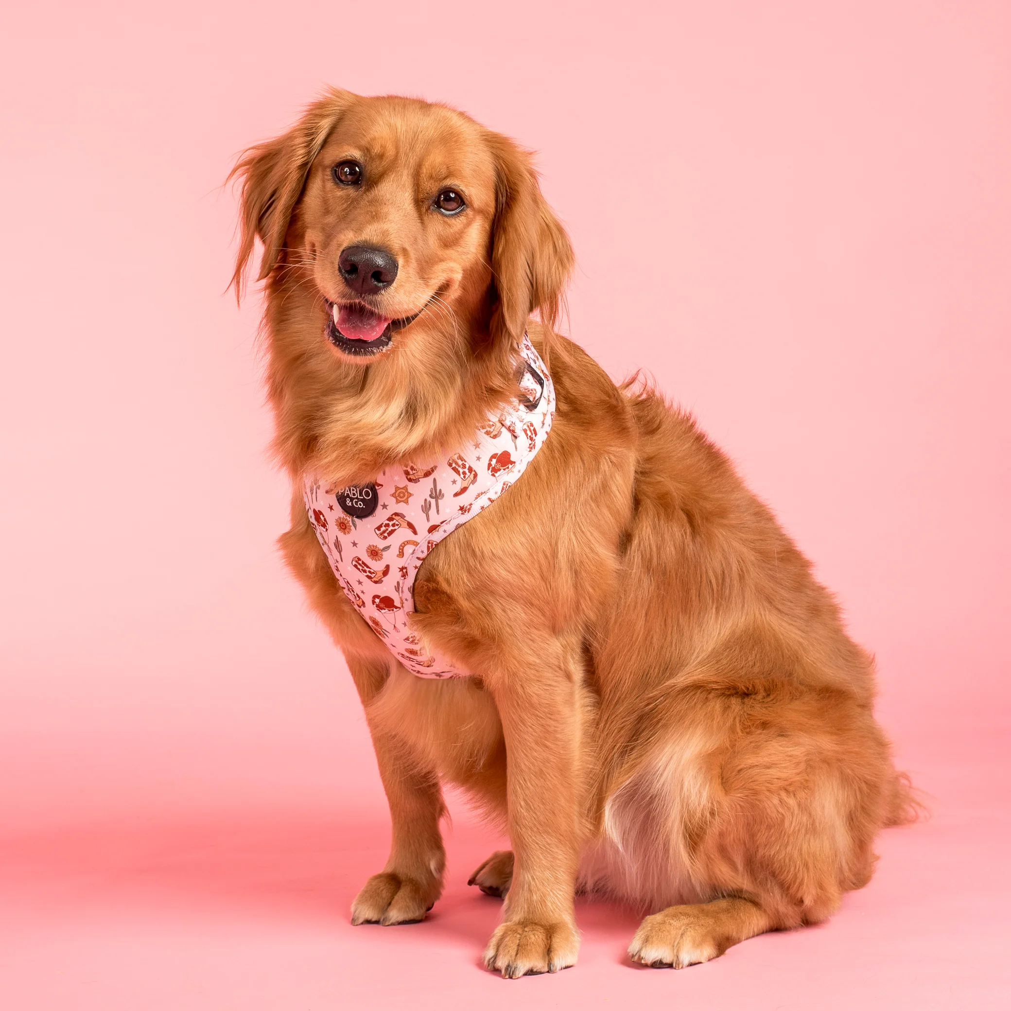 Howdy: Adjustable Harness - Image 4