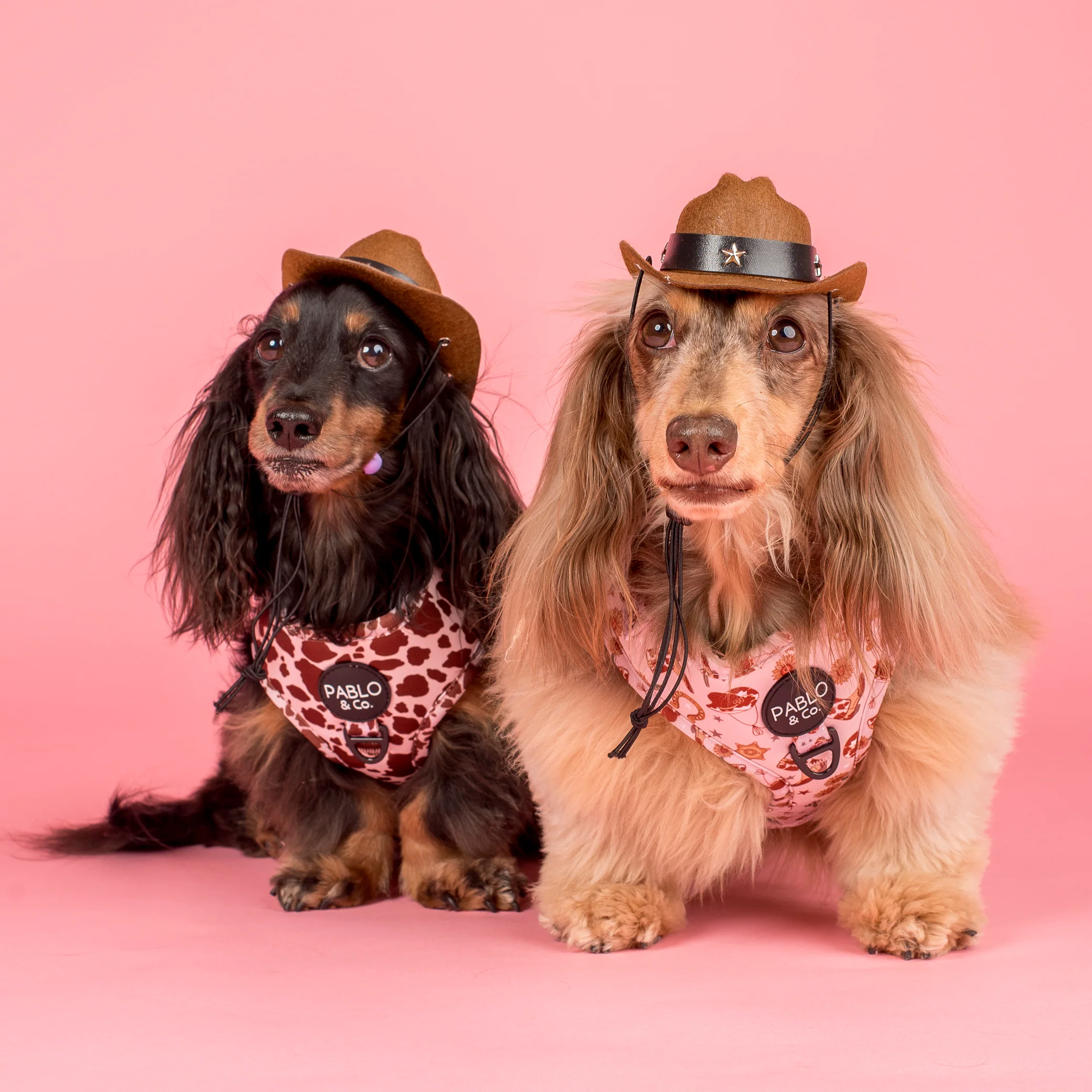Howdy: Adjustable Harness - Image 5