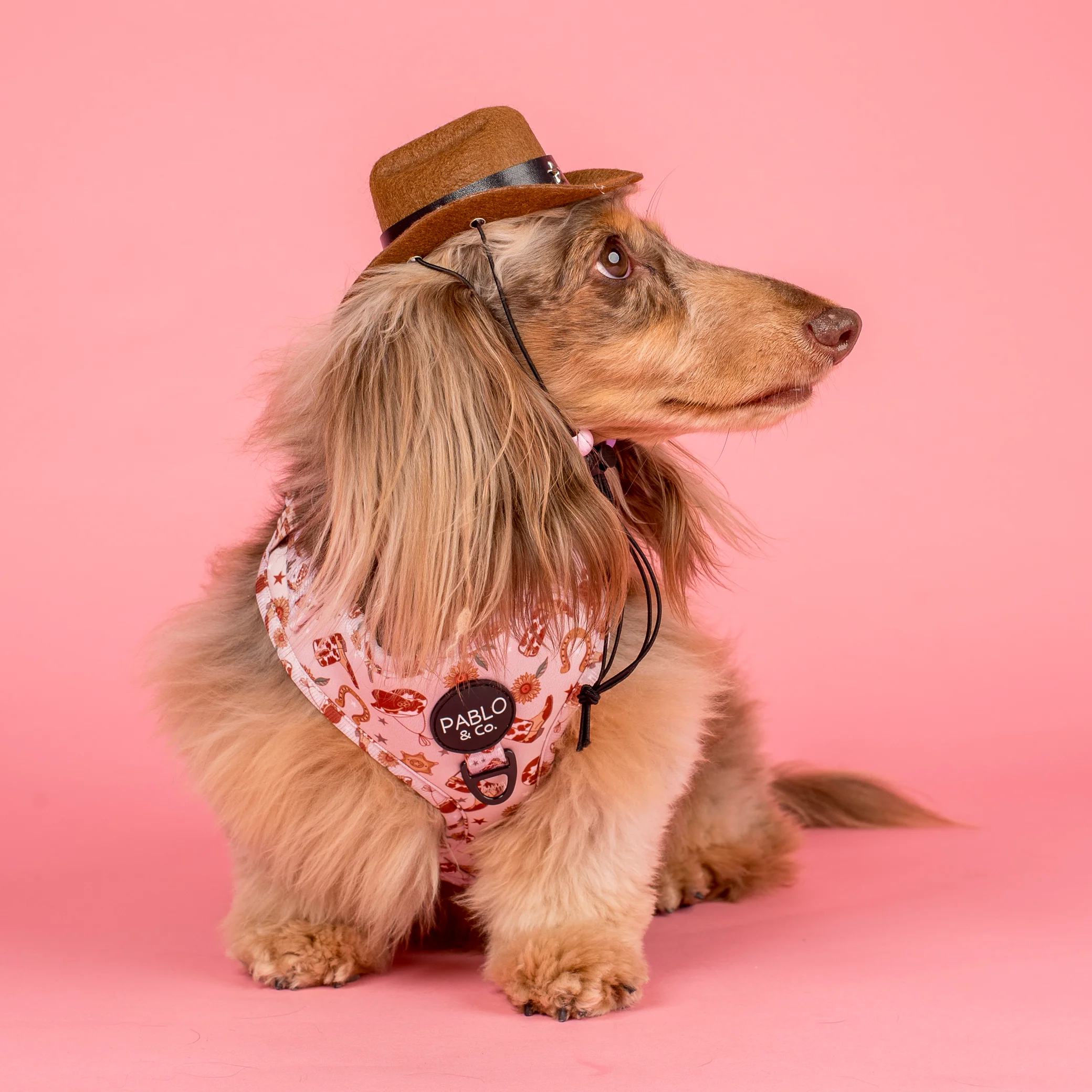 Howdy: Adjustable Harness - Image 6