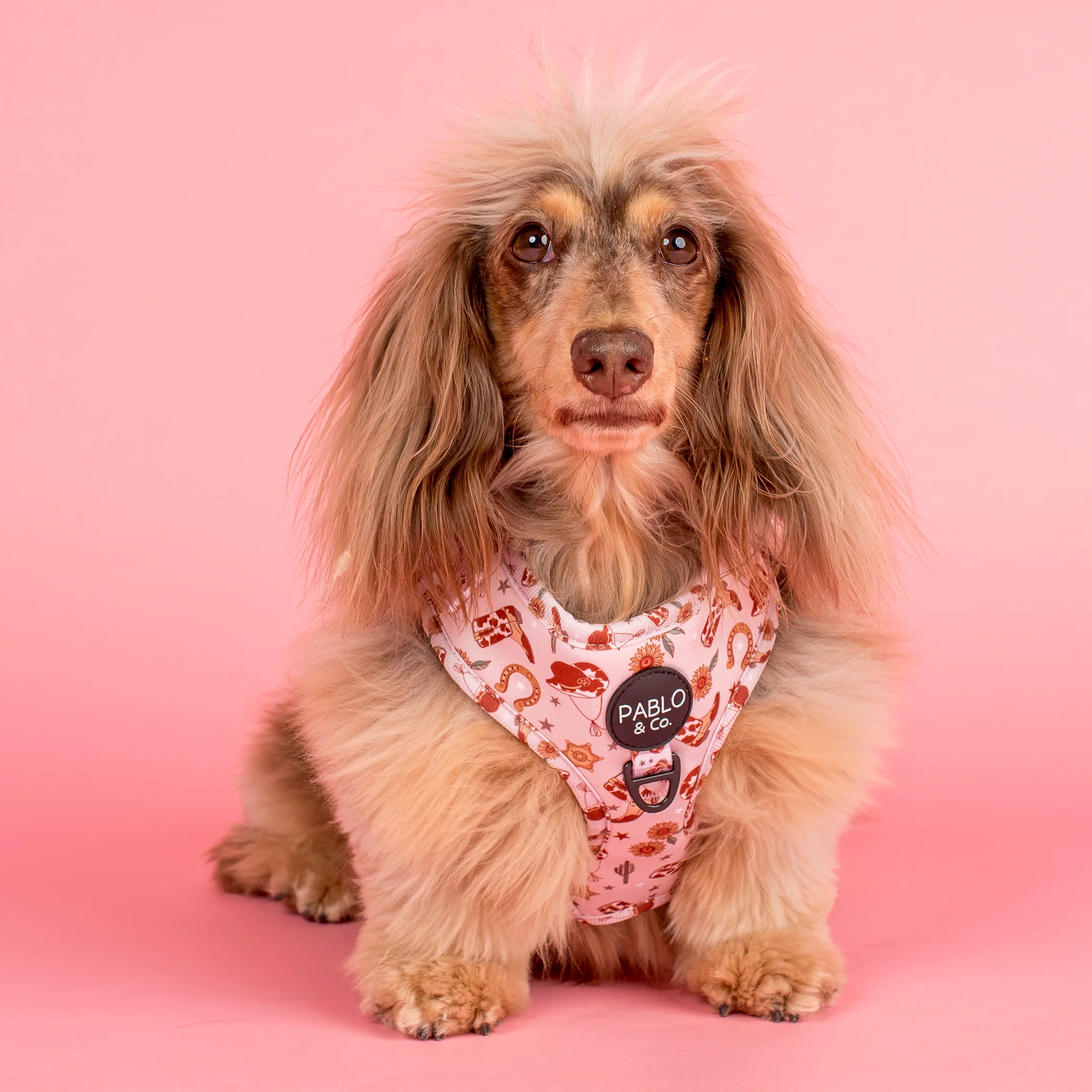 Howdy: Adjustable Harness - Image 7