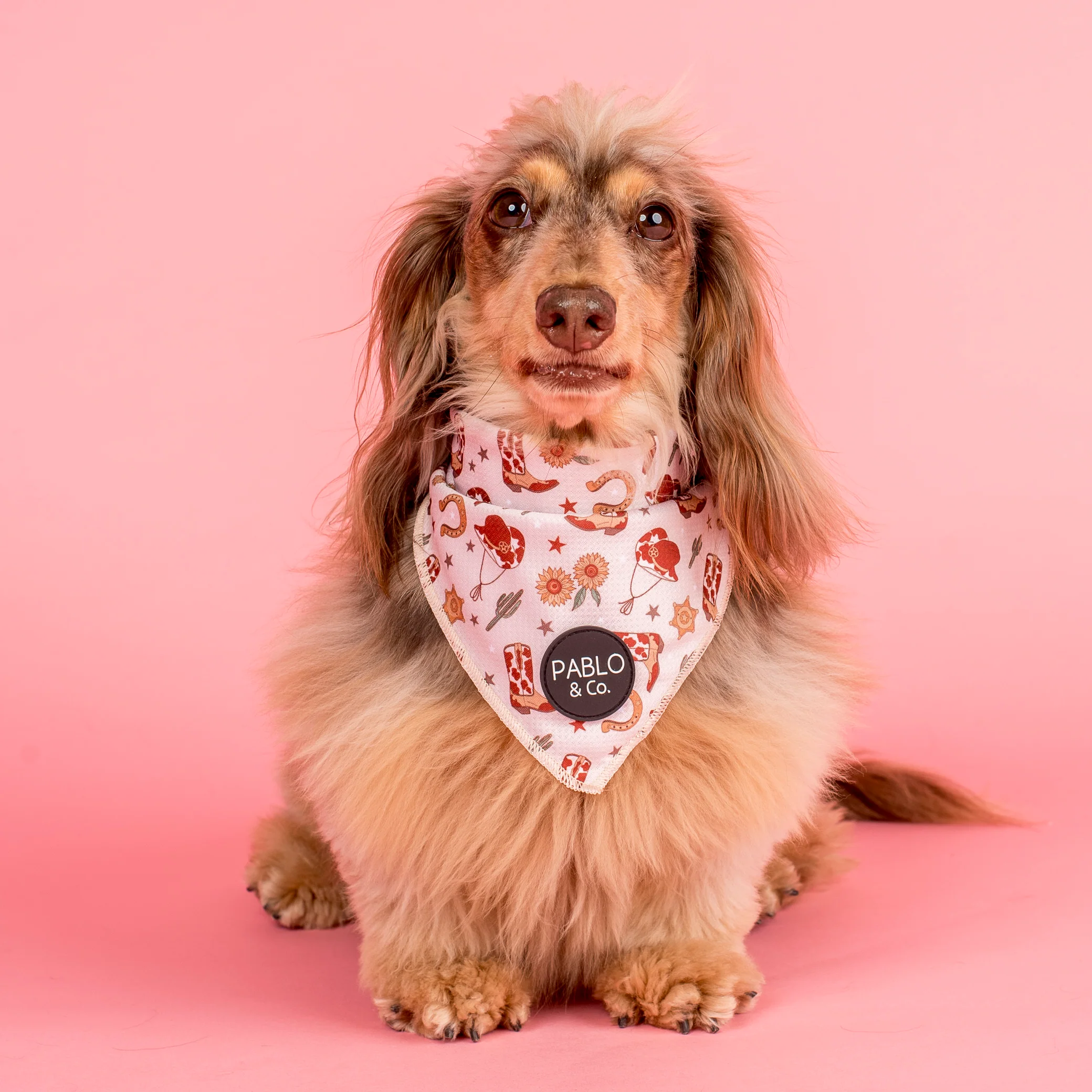 Howdy: Dog Bandana - Image 2