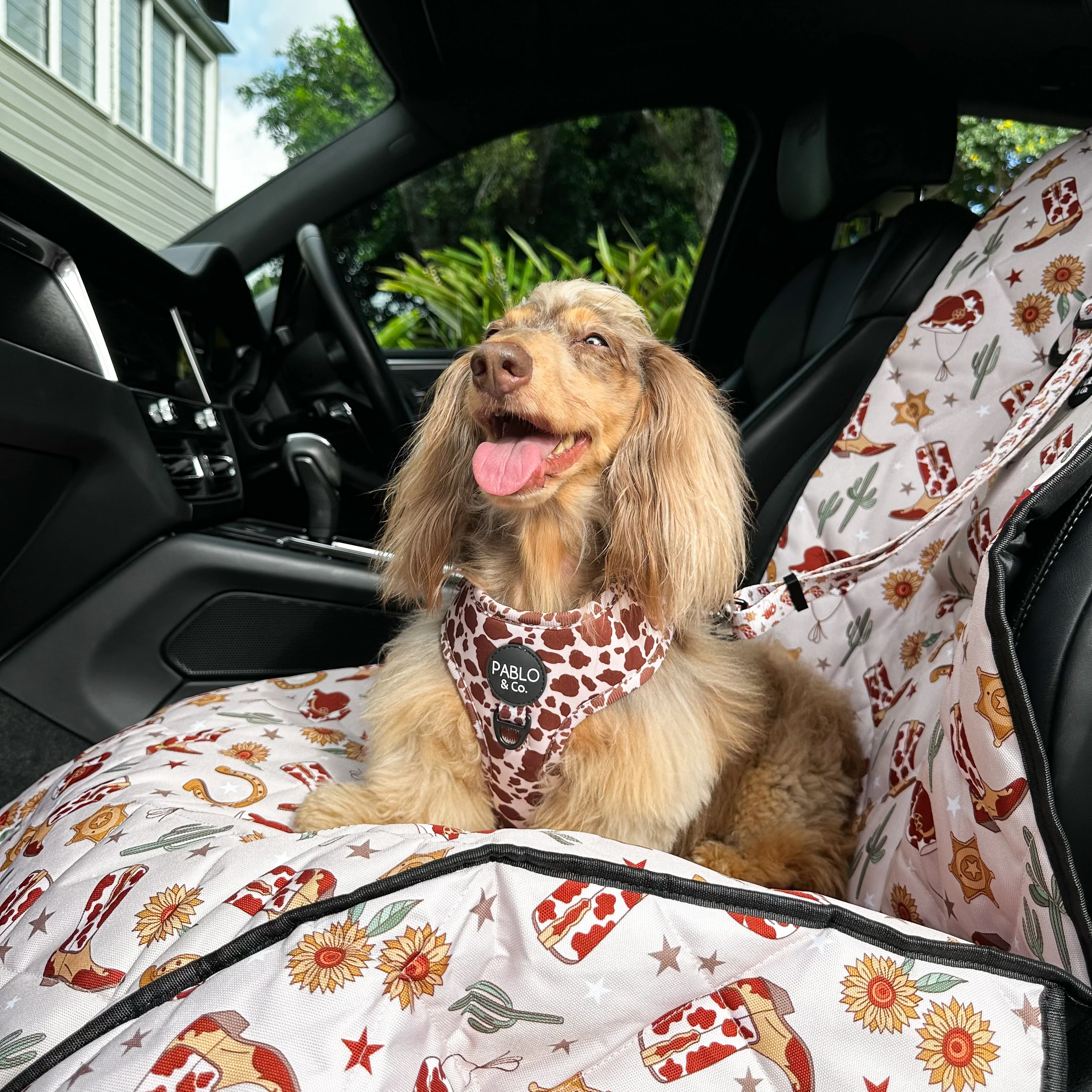 Howdy: Headrest Car Restraint - Image 3