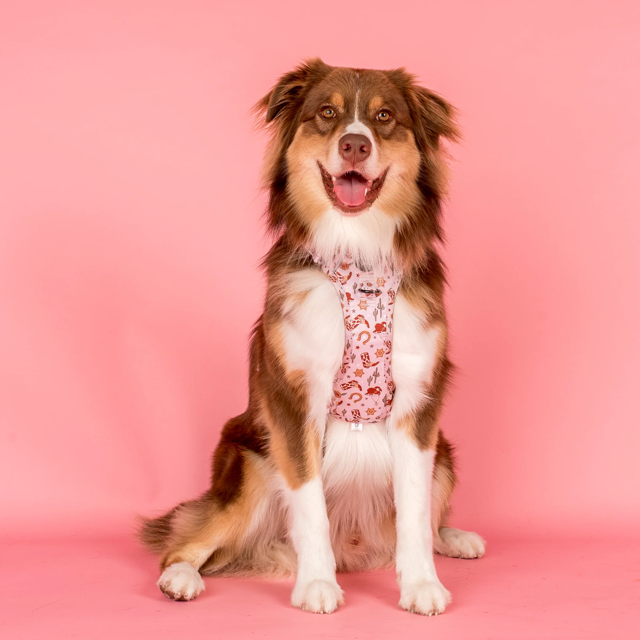 Howdy: No Pull Adventure Harness - Image 2