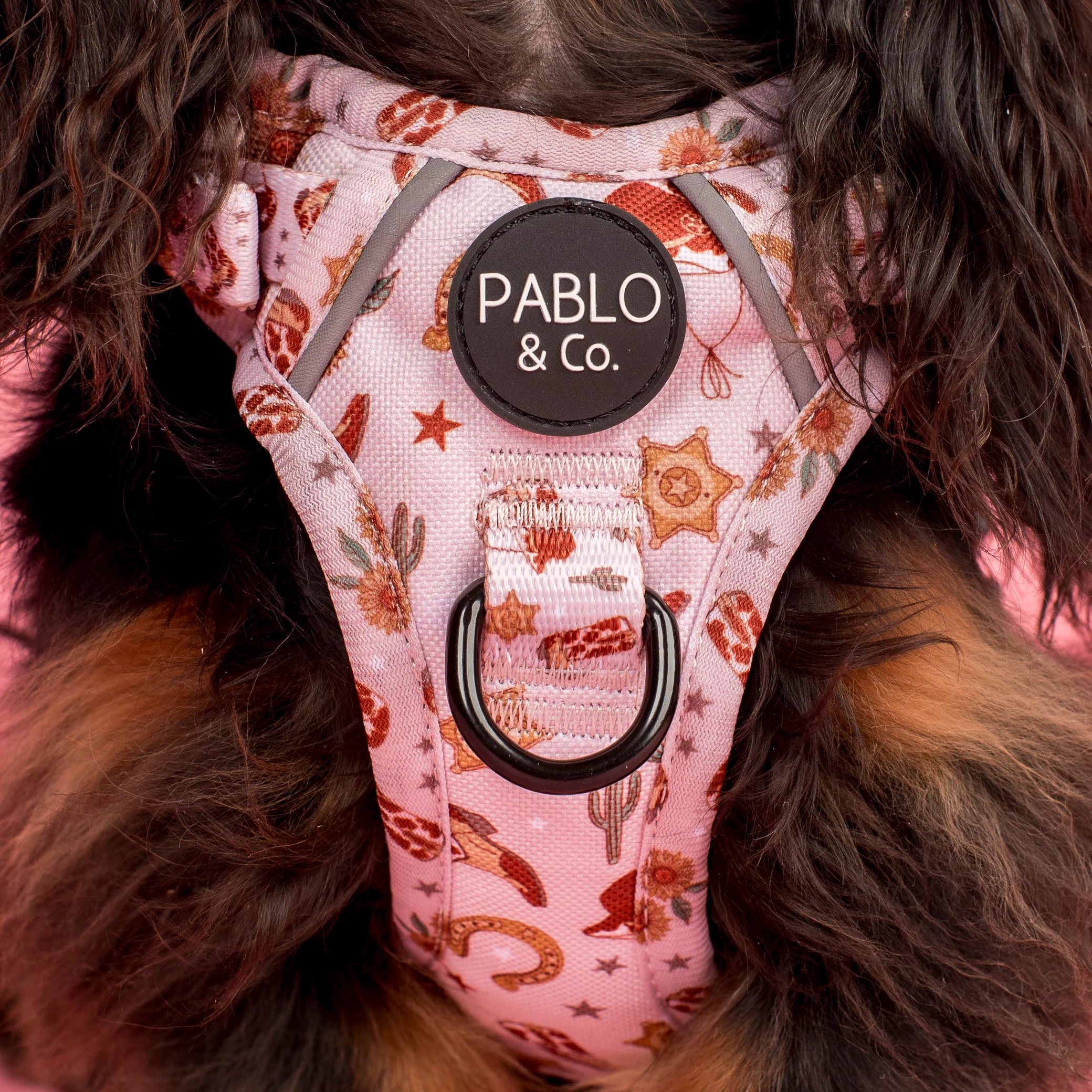 Howdy: No Pull Adventure Harness - Image 3