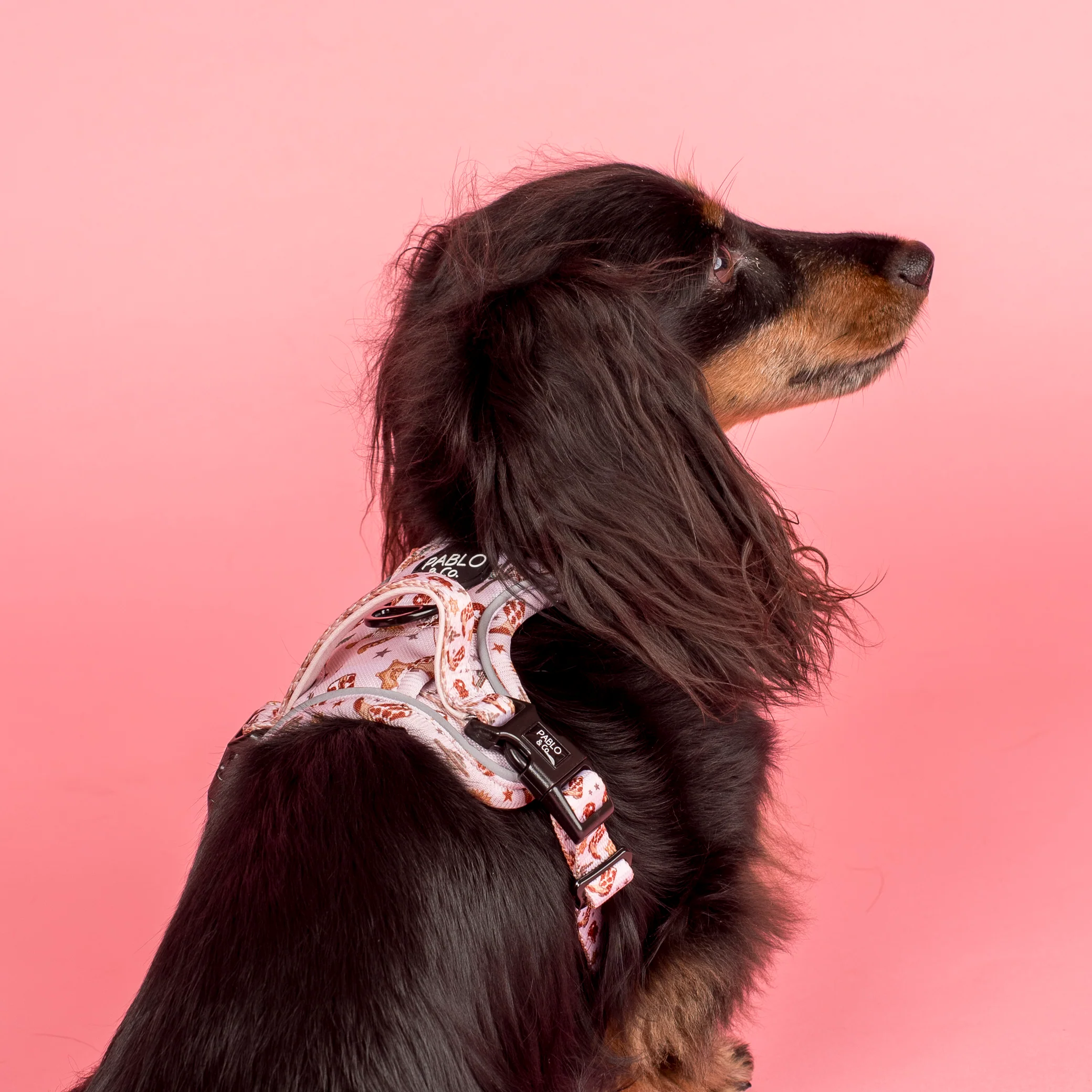 Howdy: No Pull Adventure Harness - Image 5