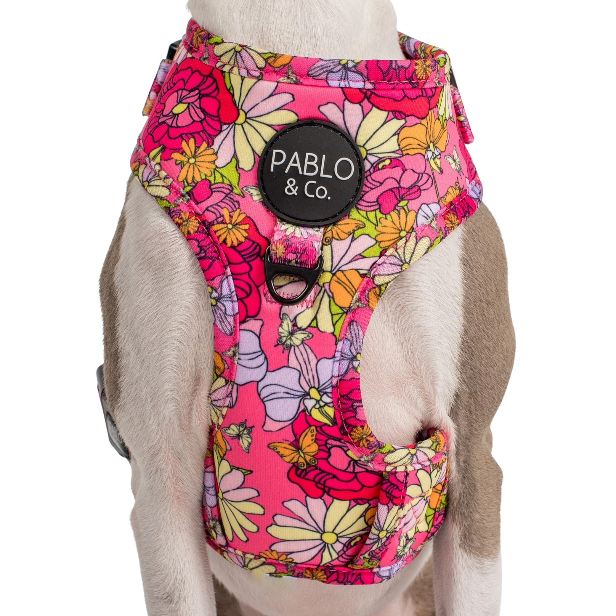 In Bloom: Adjustable Harness - Image 2