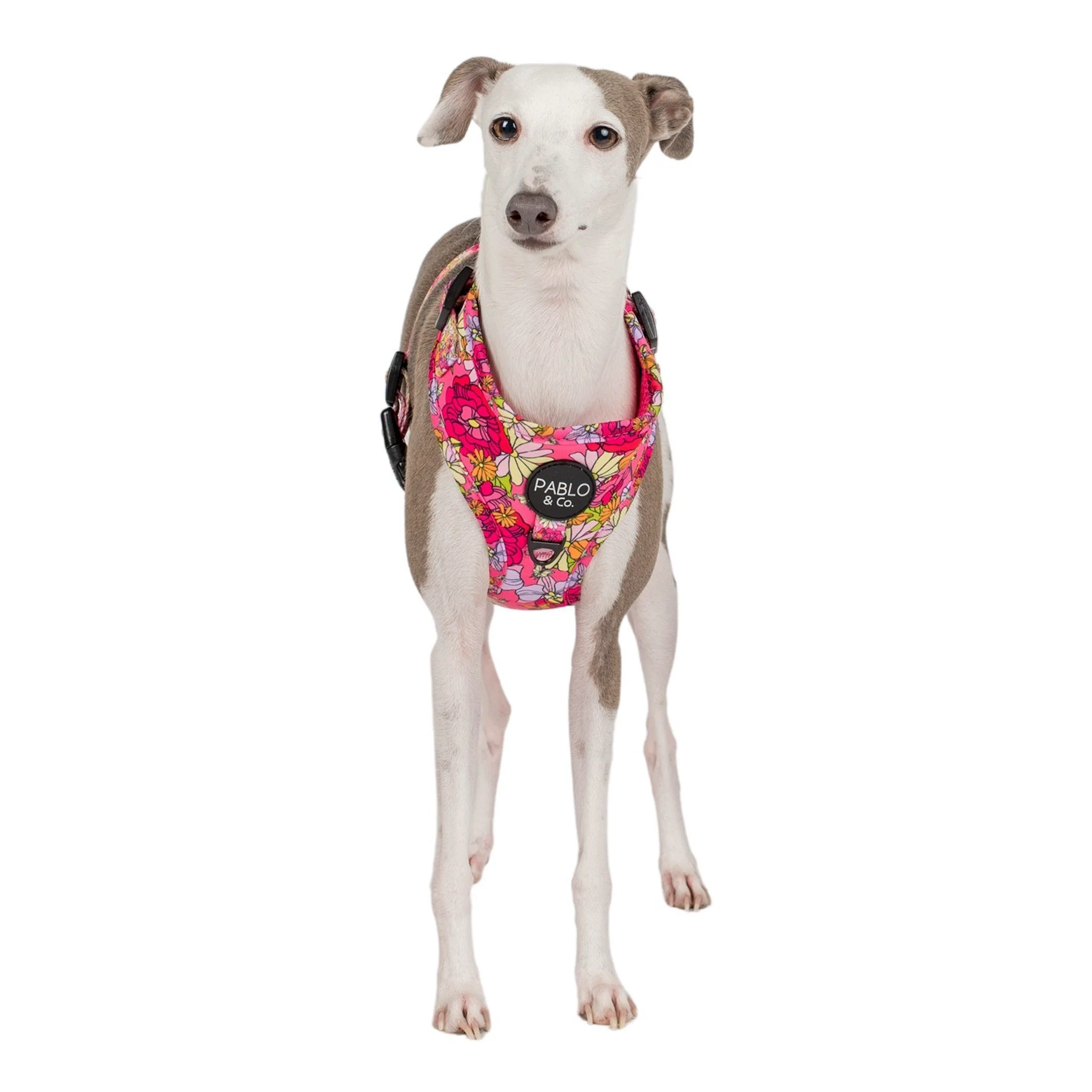 In Bloom: Adjustable Harness - Image 6
