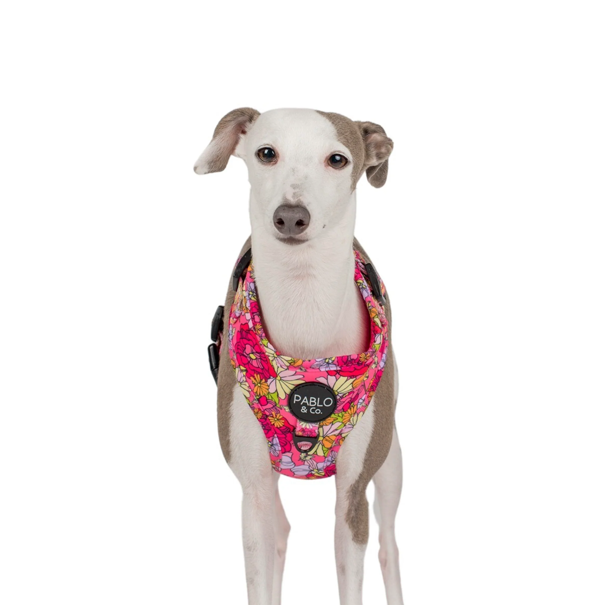 In Bloom: Adjustable Harness - Image 7