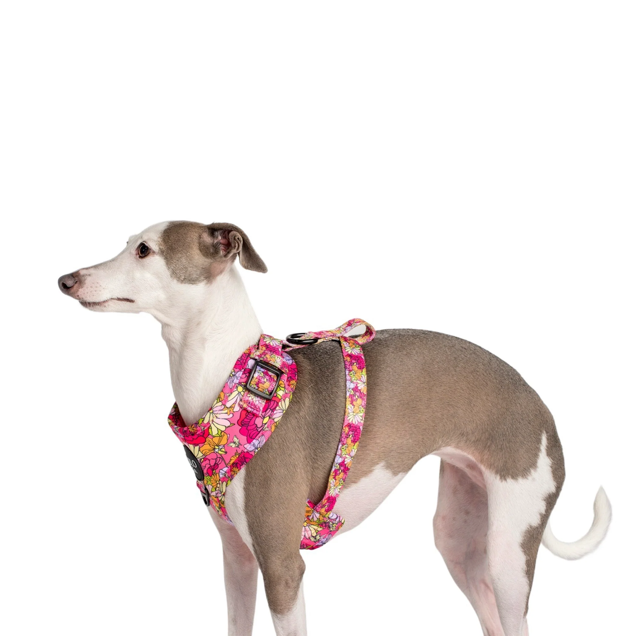 In Bloom: Adjustable Harness - Image 8