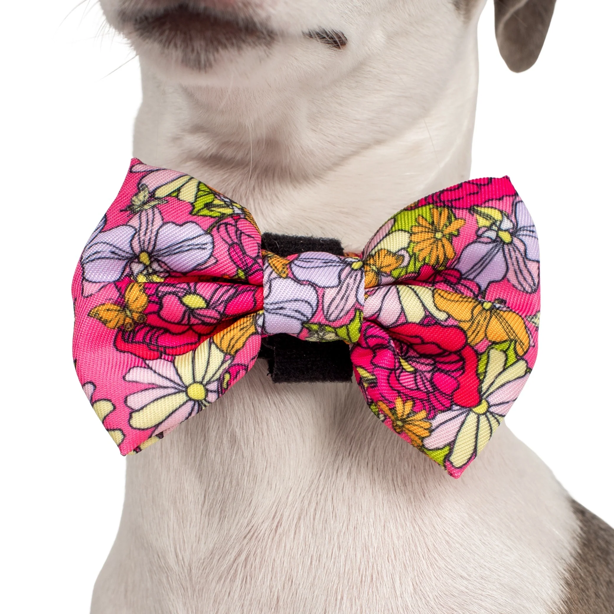 In Bloom: Bow Tie - Image 3